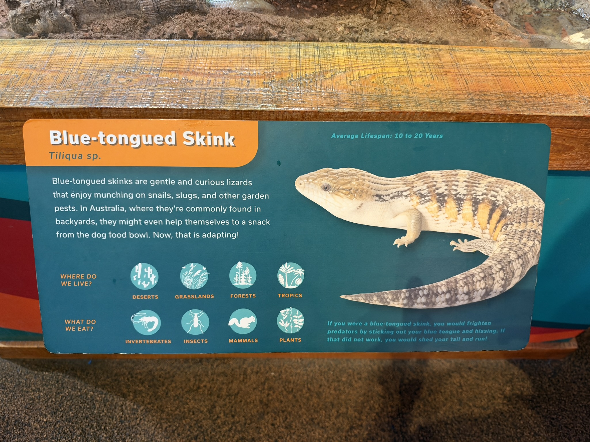 Aquarium of The Bay