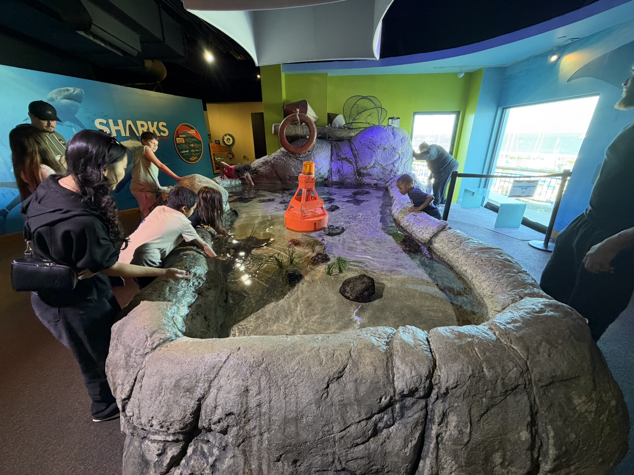 Aquarium of The Bay