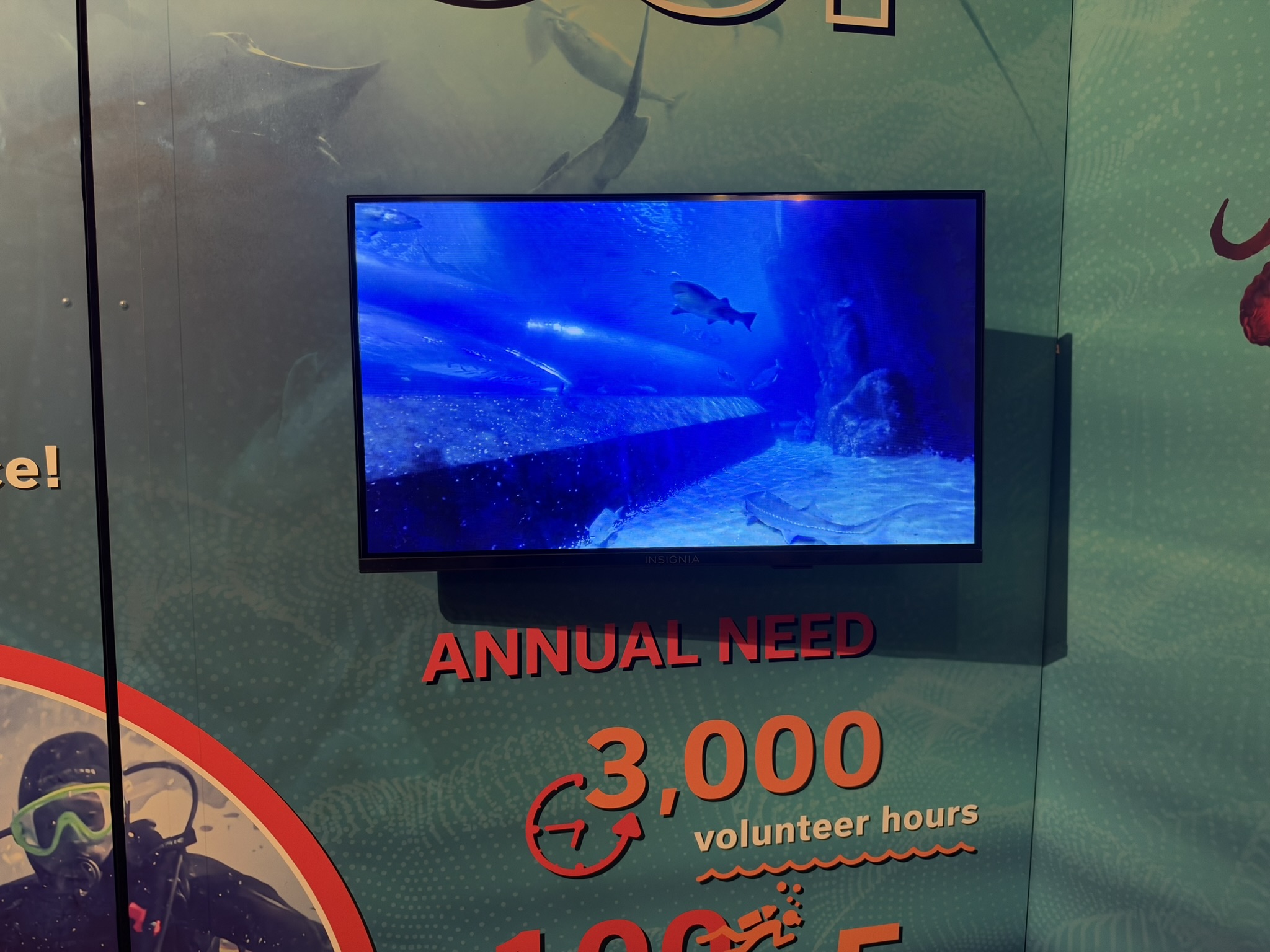 Aquarium of The Bay