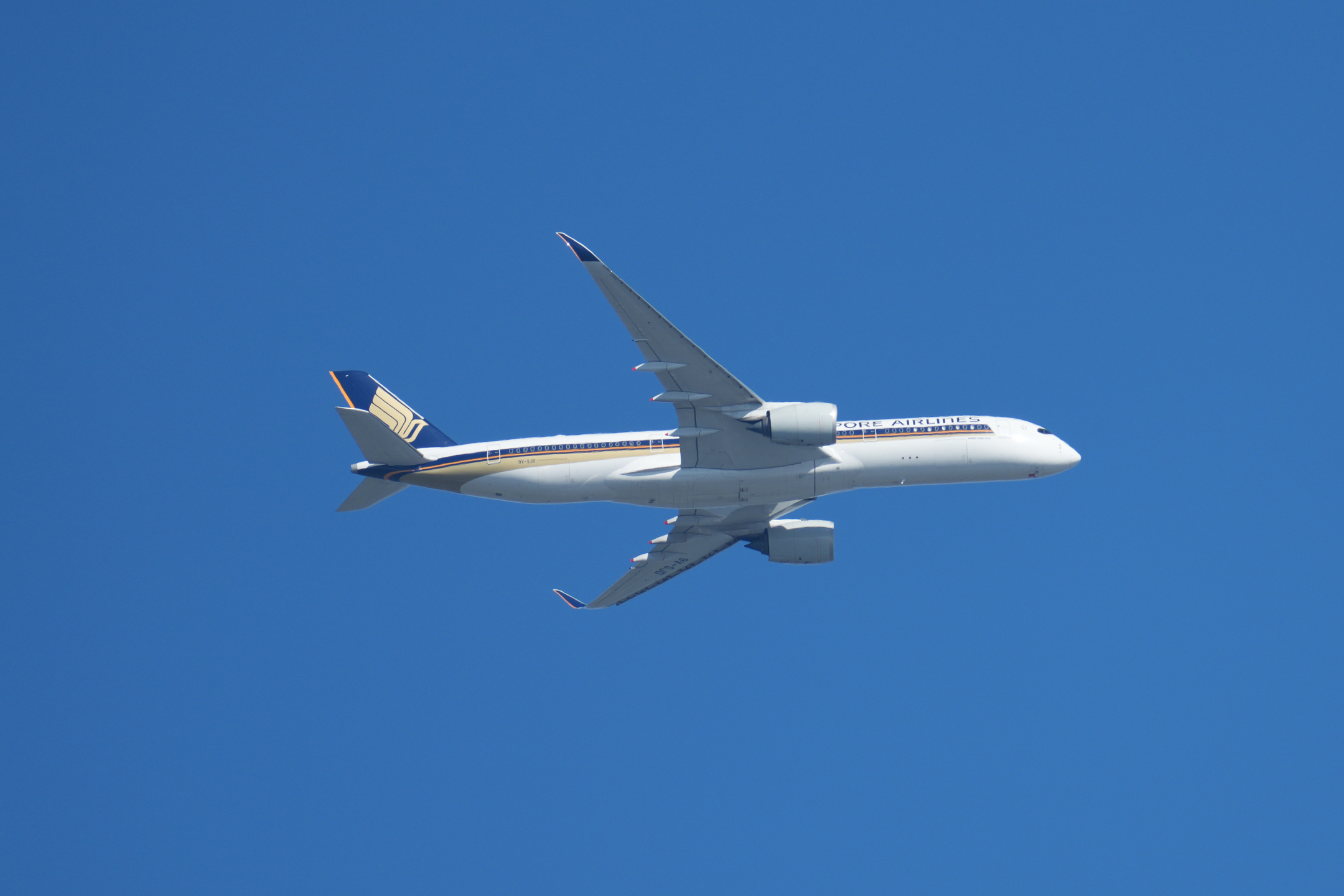 Singapore Airlines