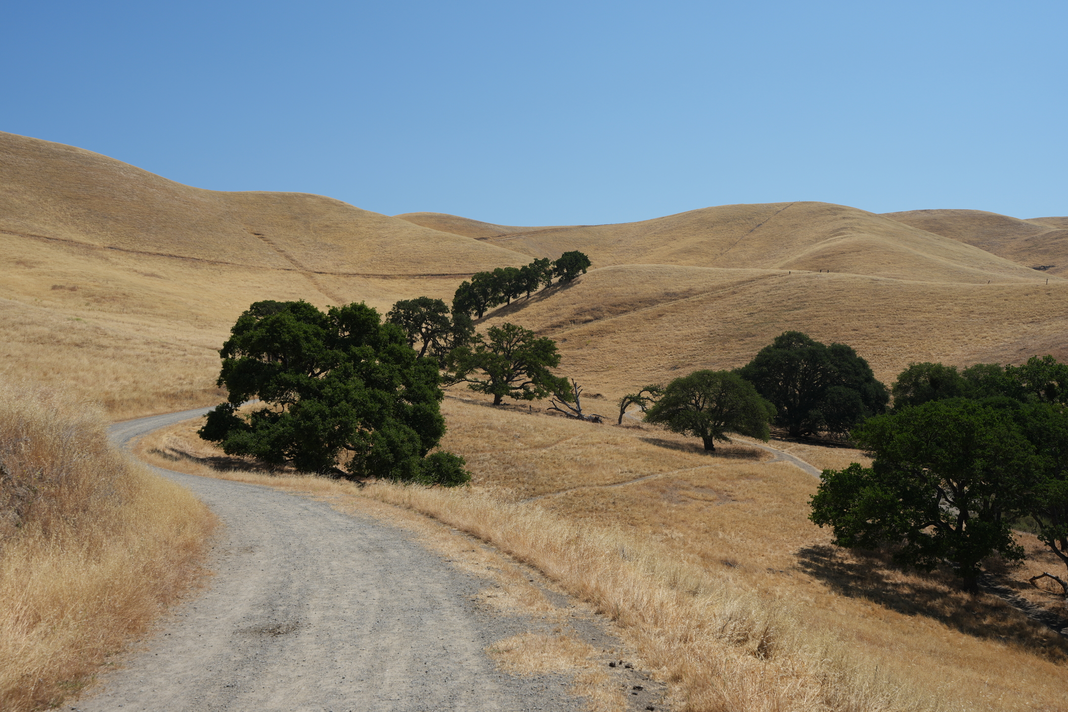 Del Valle Regional Park North