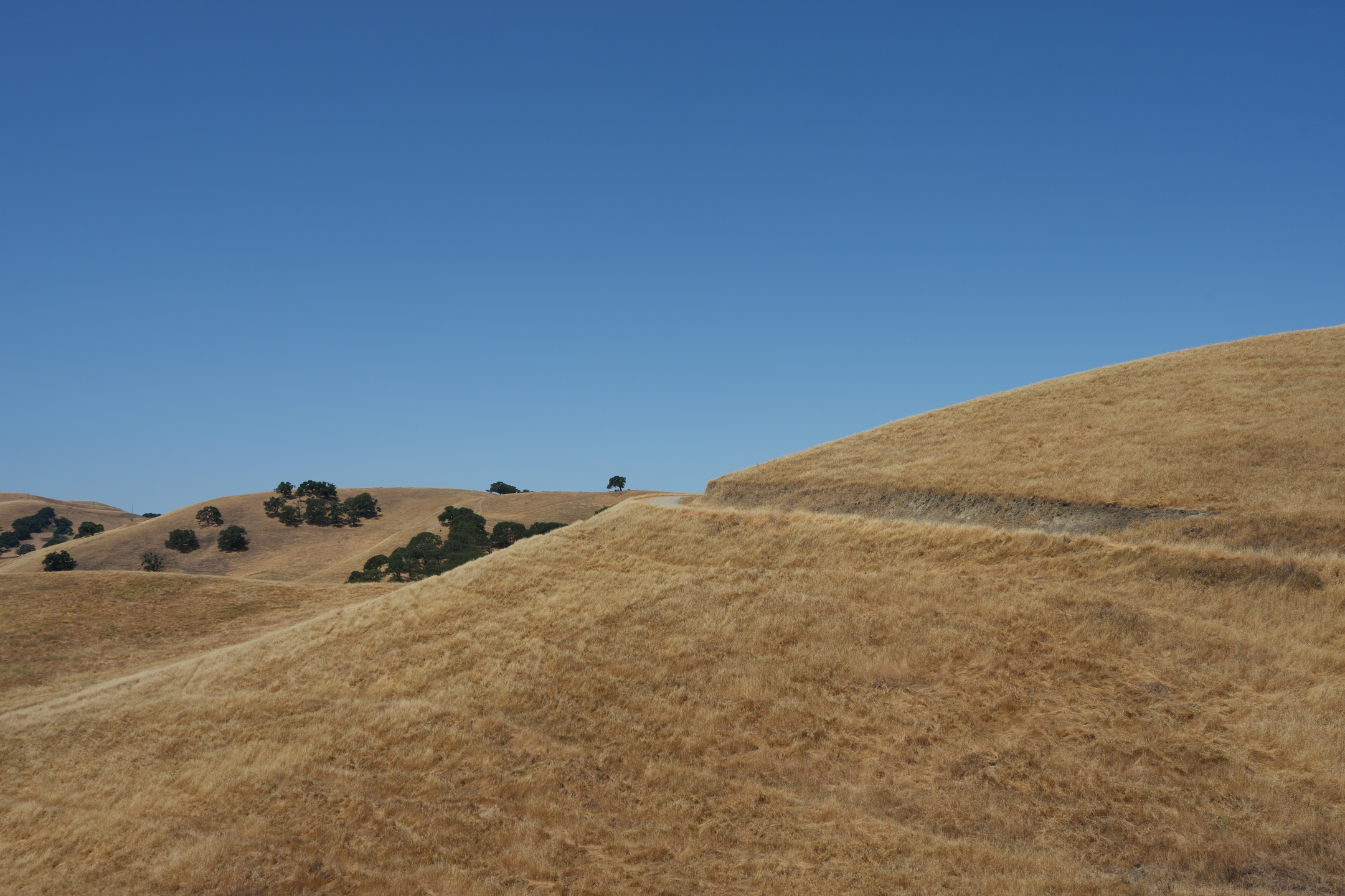 Del Valle Regional Park North