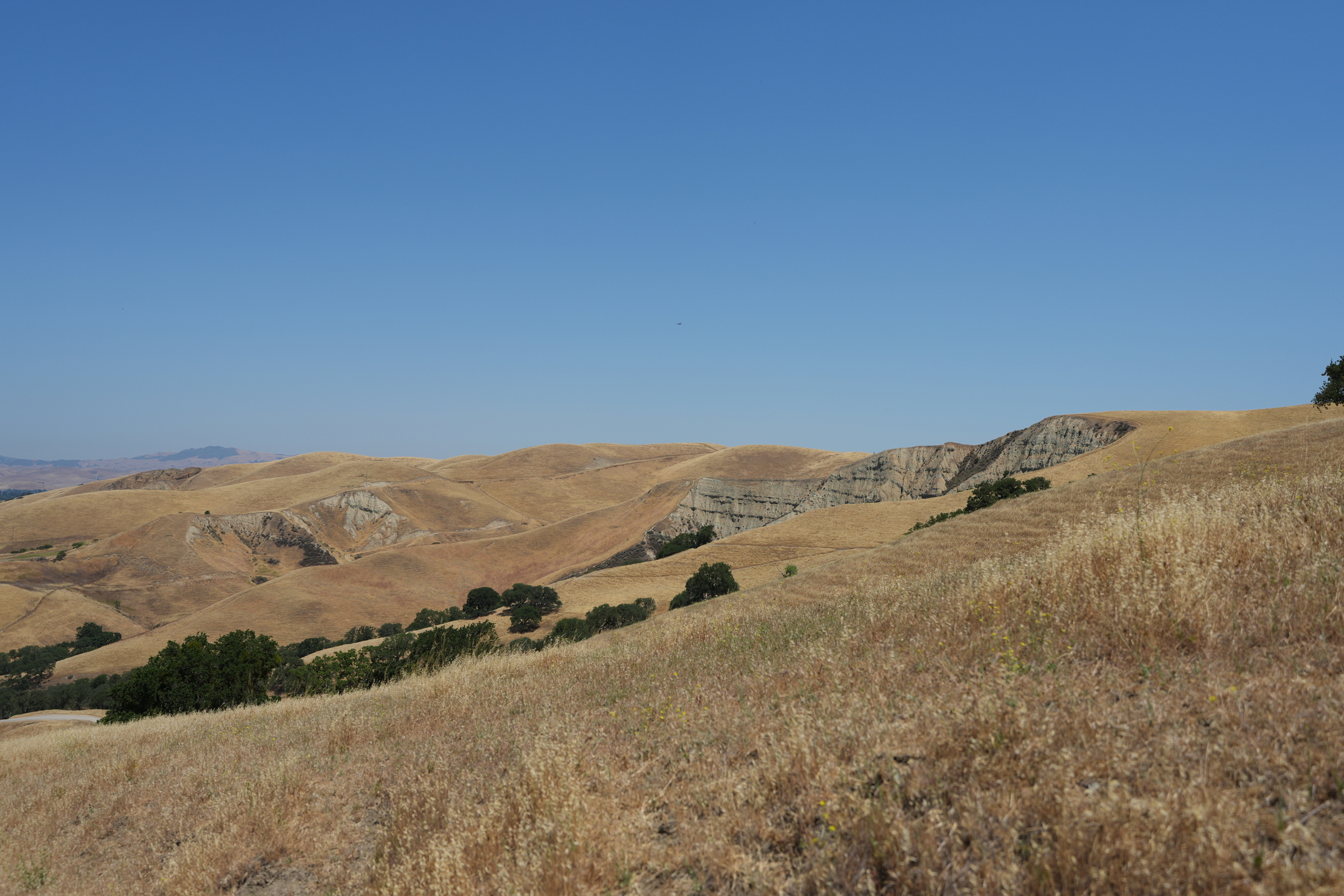 Del Valle Regional Park North