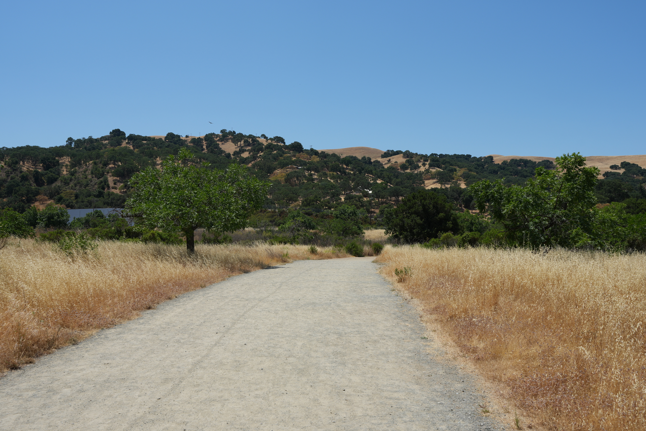 Del Valle Regional Park North