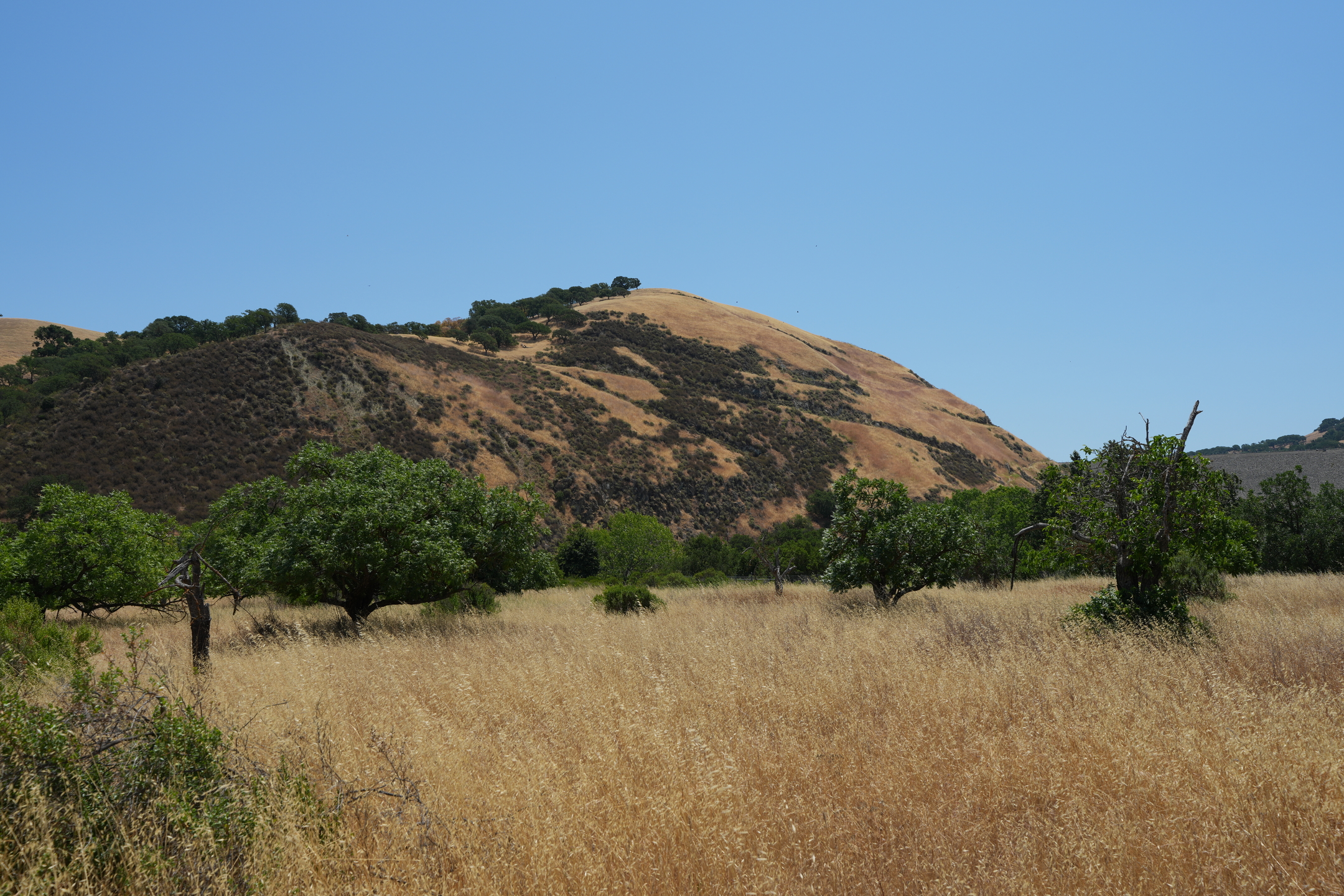 Del Valle Regional Park North