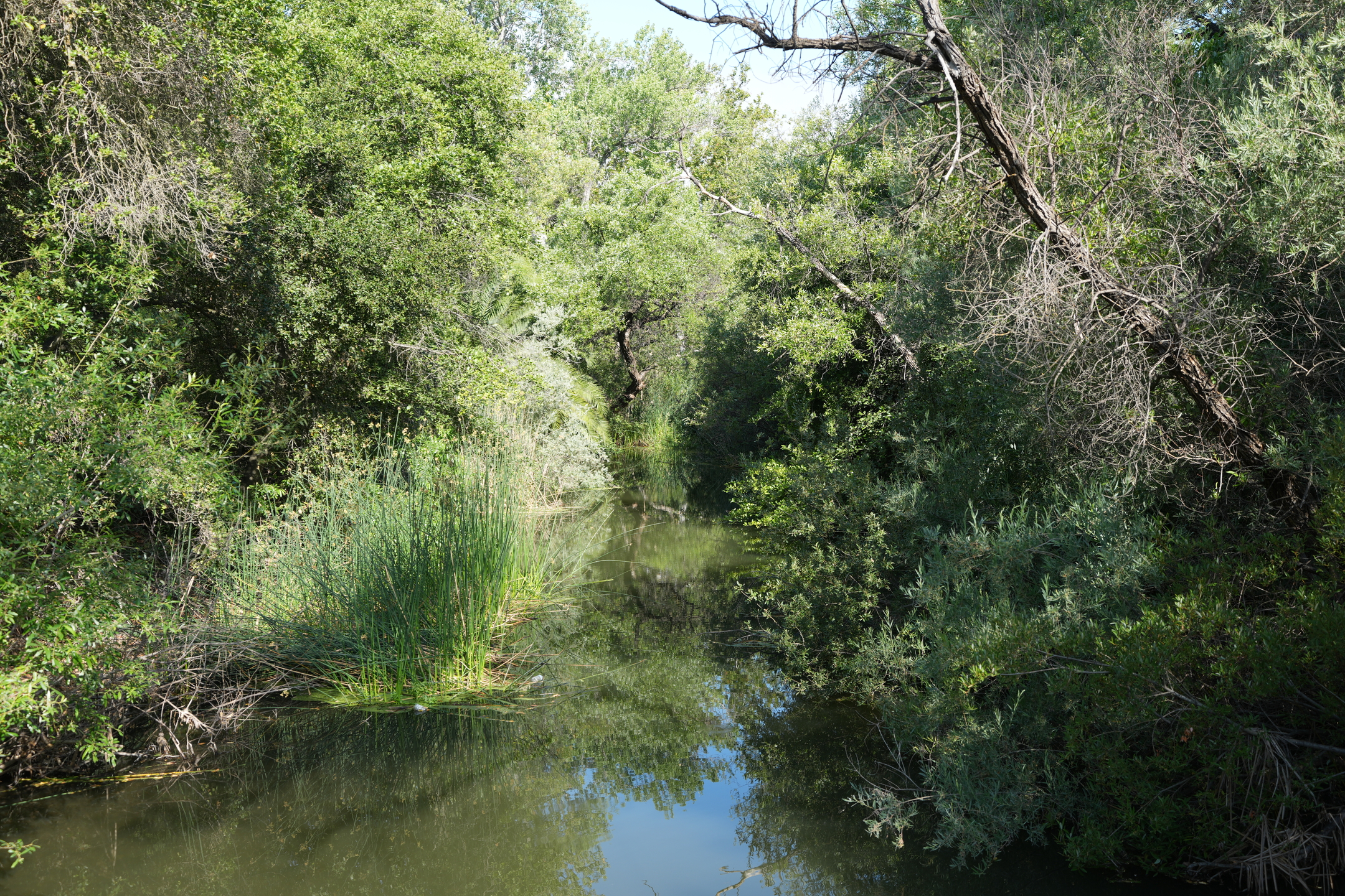 Del Valle Regional Park North