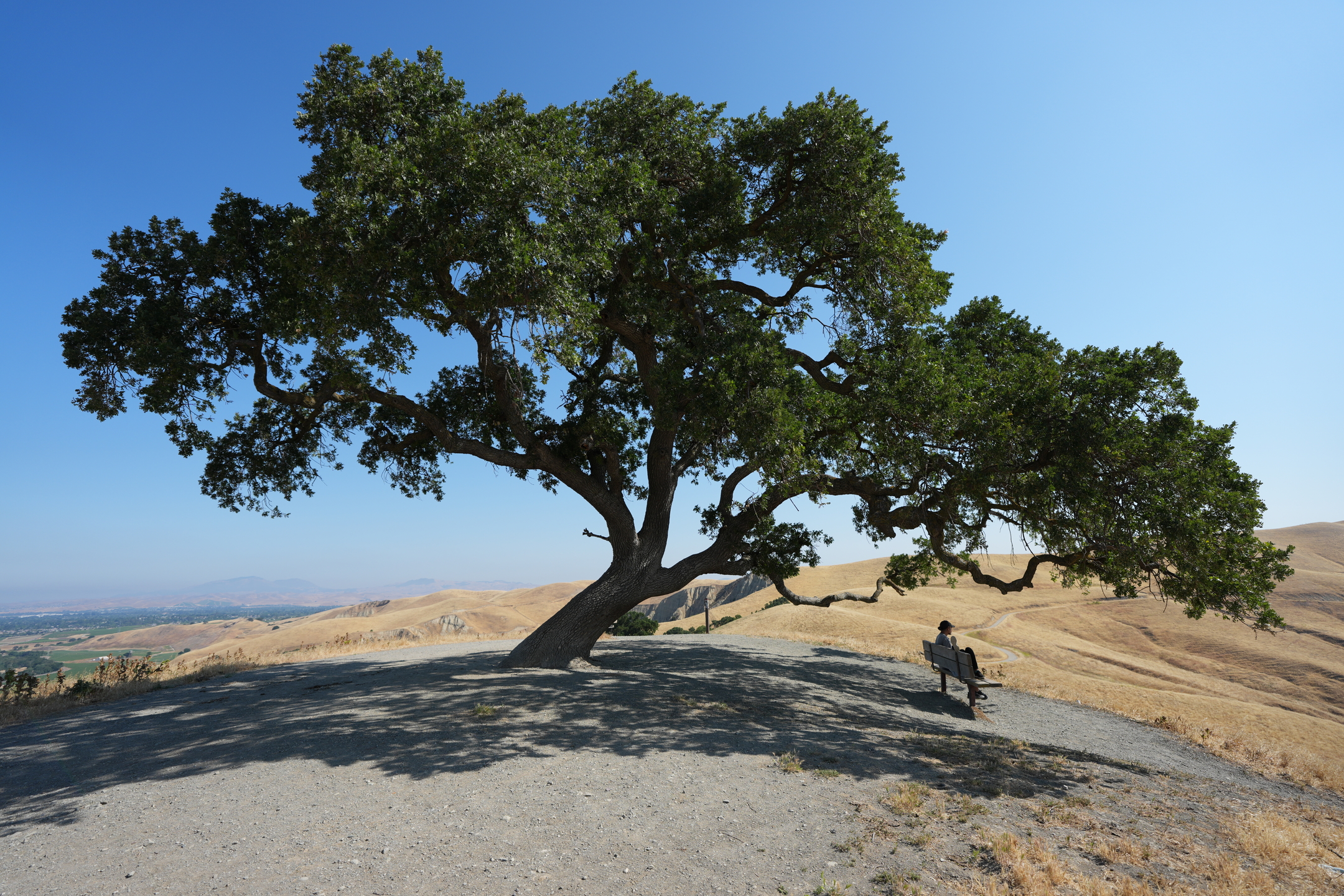 Del Valle Regional Park North