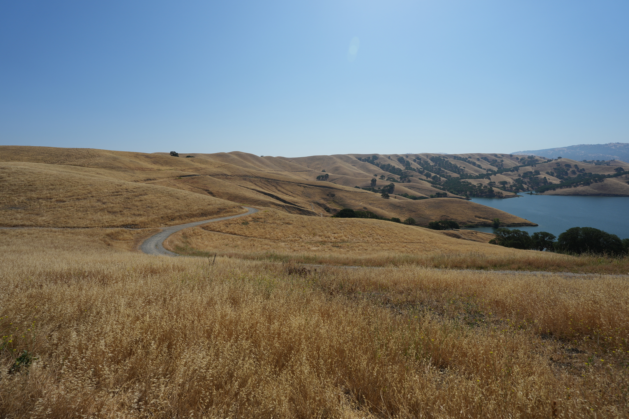Del Valle Regional Park North
