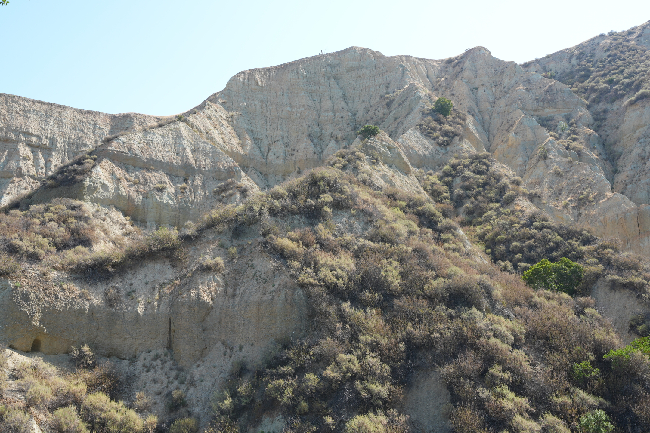 Del Valle Regional Park North