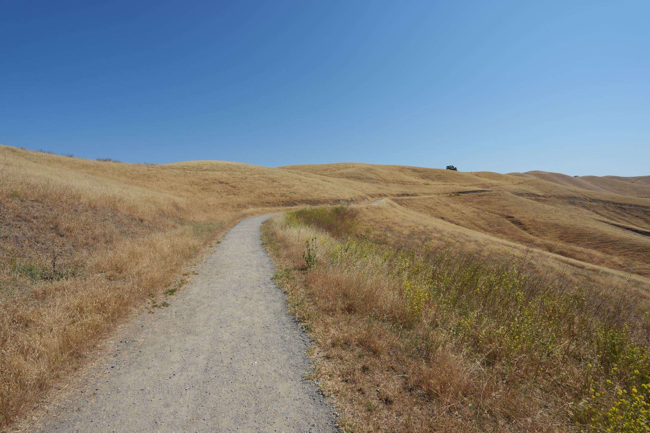 Del Valle Regional Park North