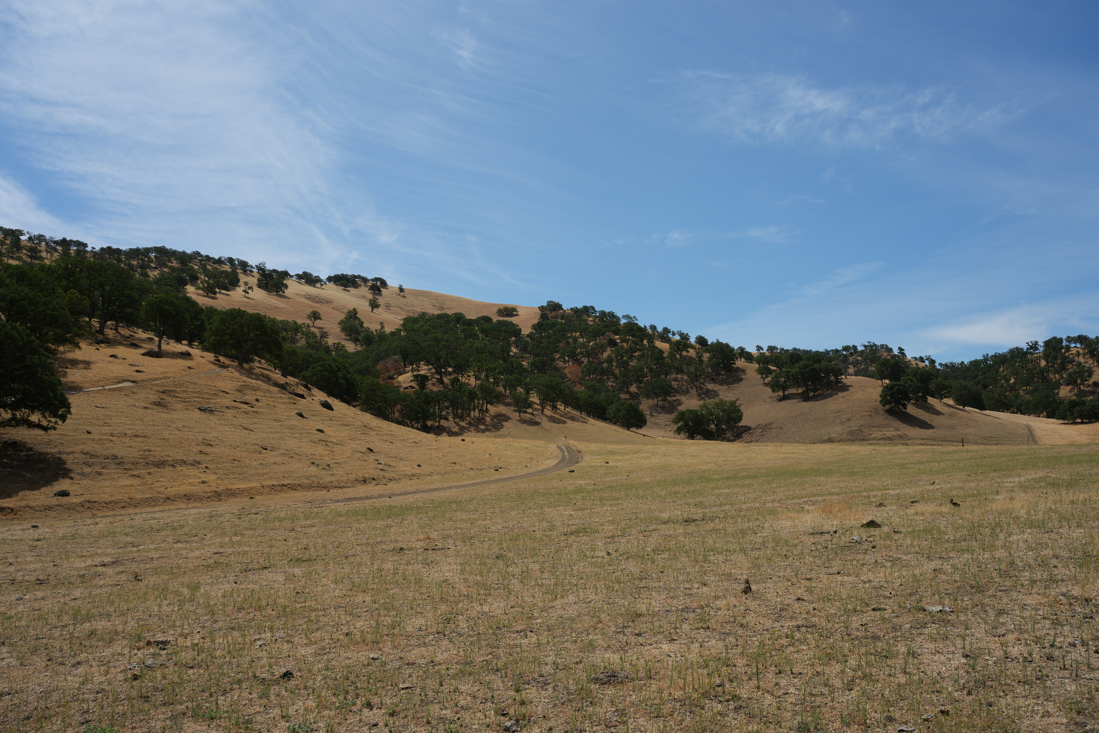 Round Valley Regional Preserve