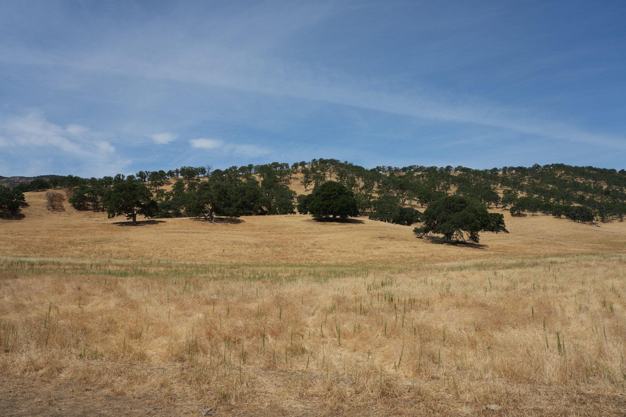 Round Valley Regional Preserve
