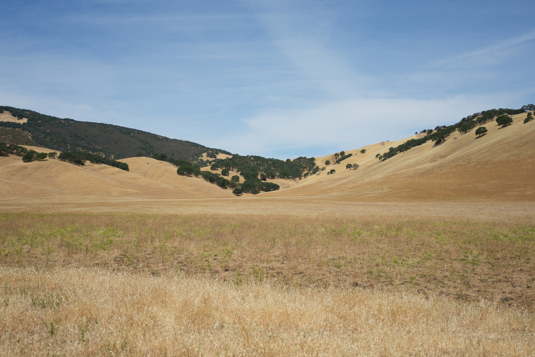 Round Valley Regional Preserve