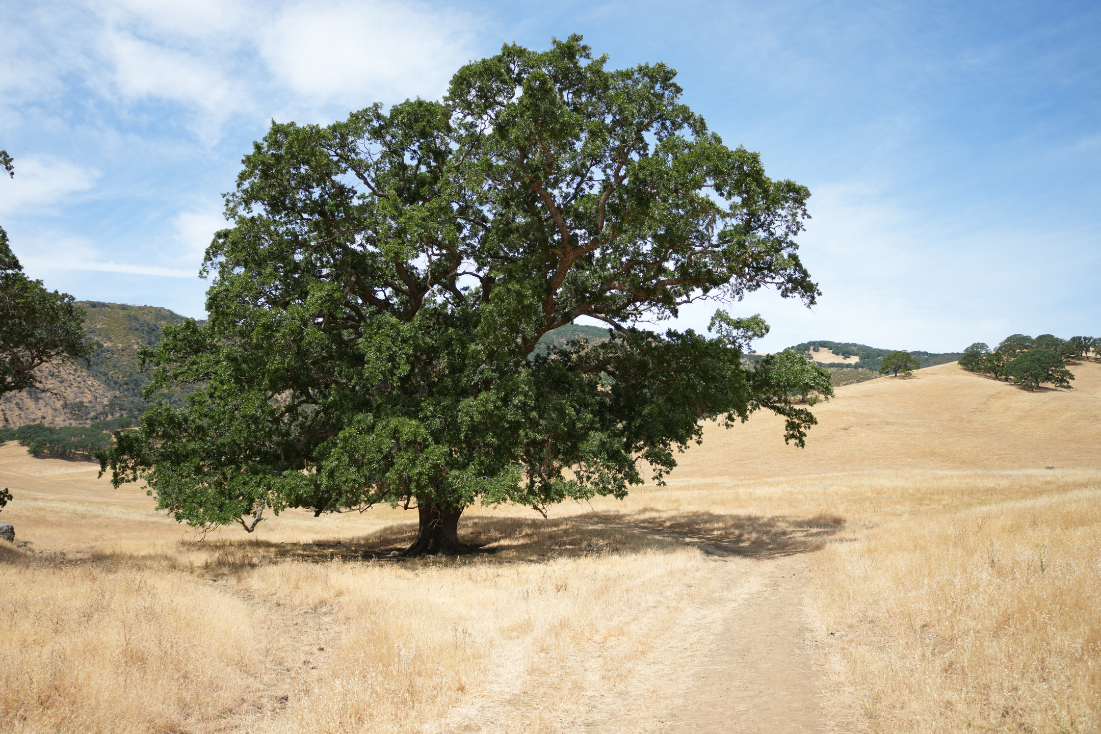 Round Valley Regional Preserve