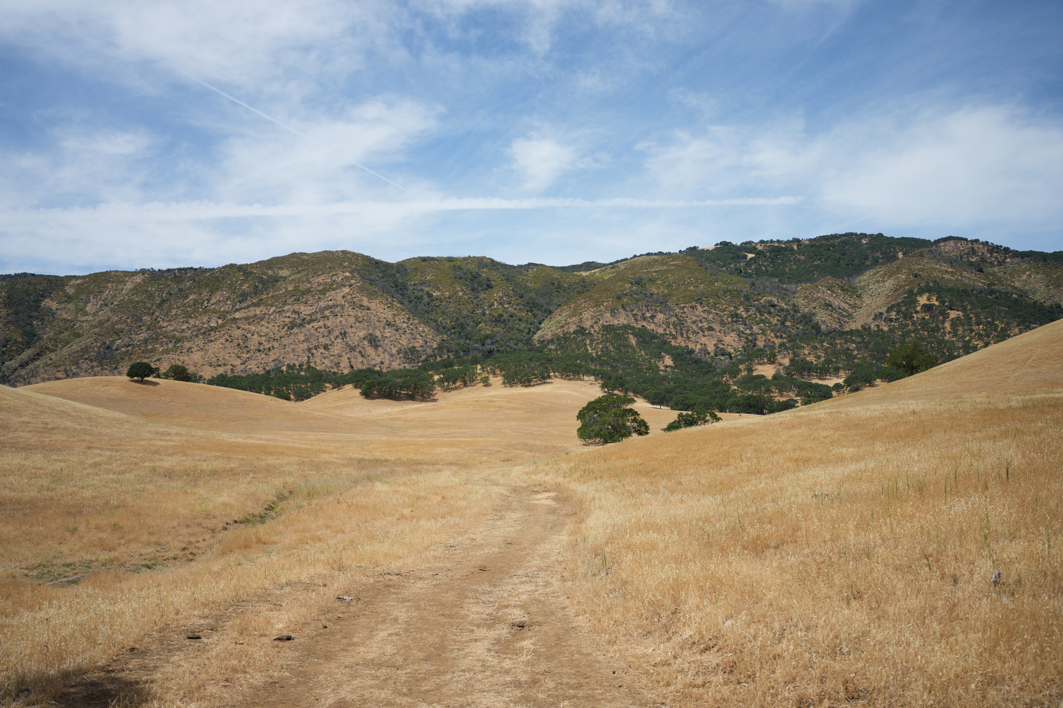 Round Valley Regional Preserve