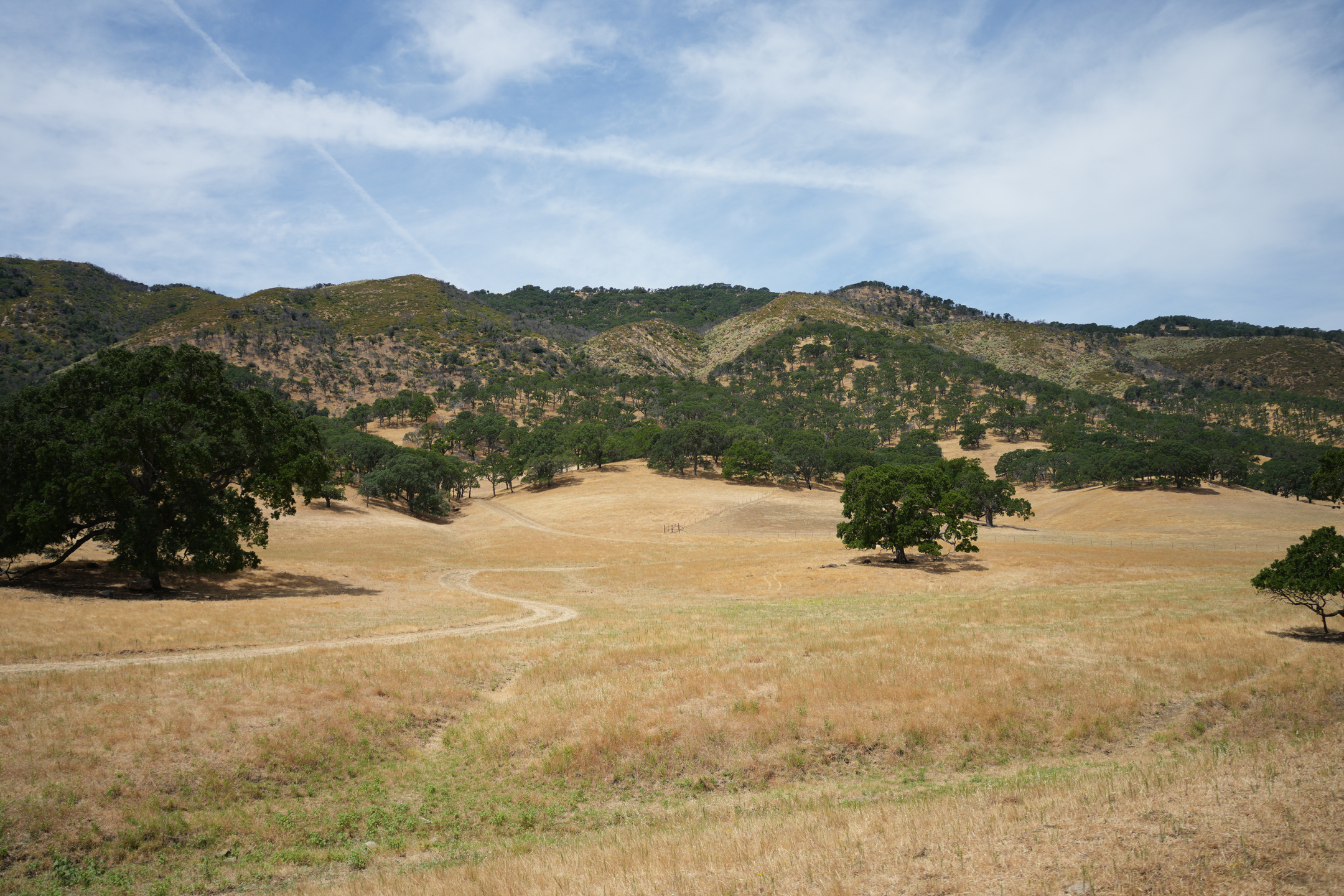 Round Valley Regional Preserve