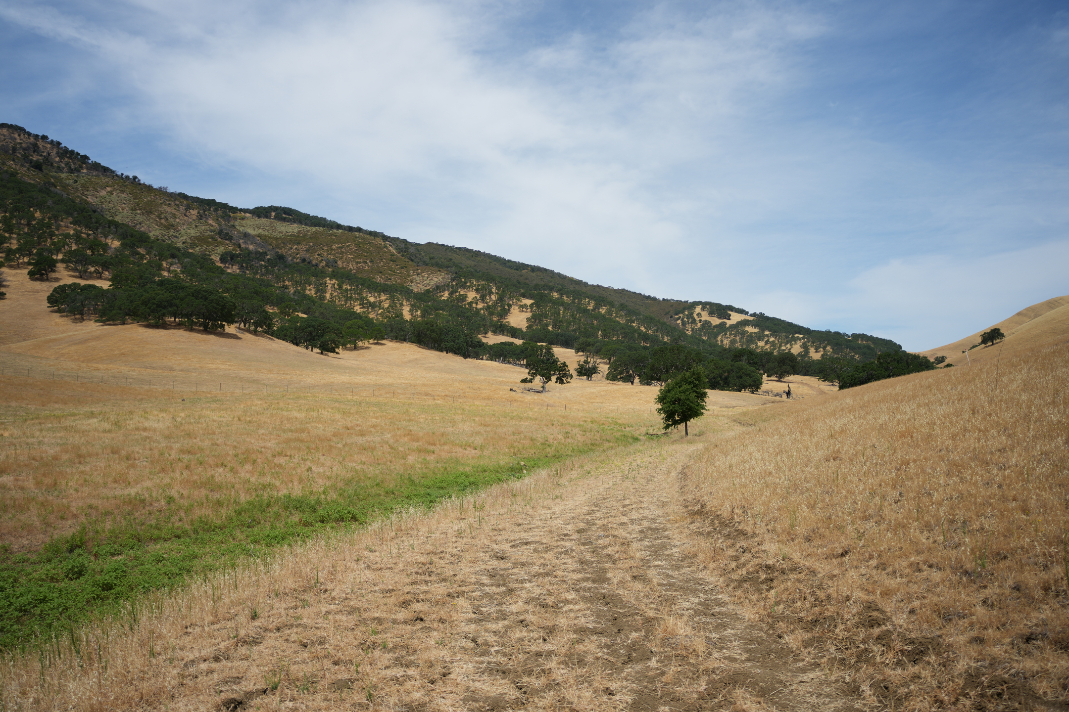 Round Valley Regional Preserve