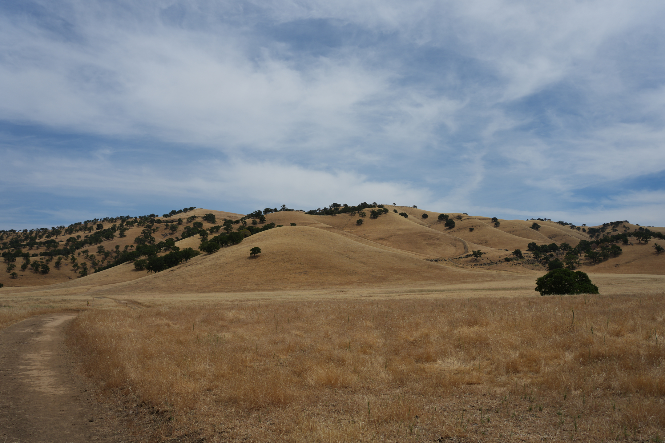 Round Valley Regional Preserve