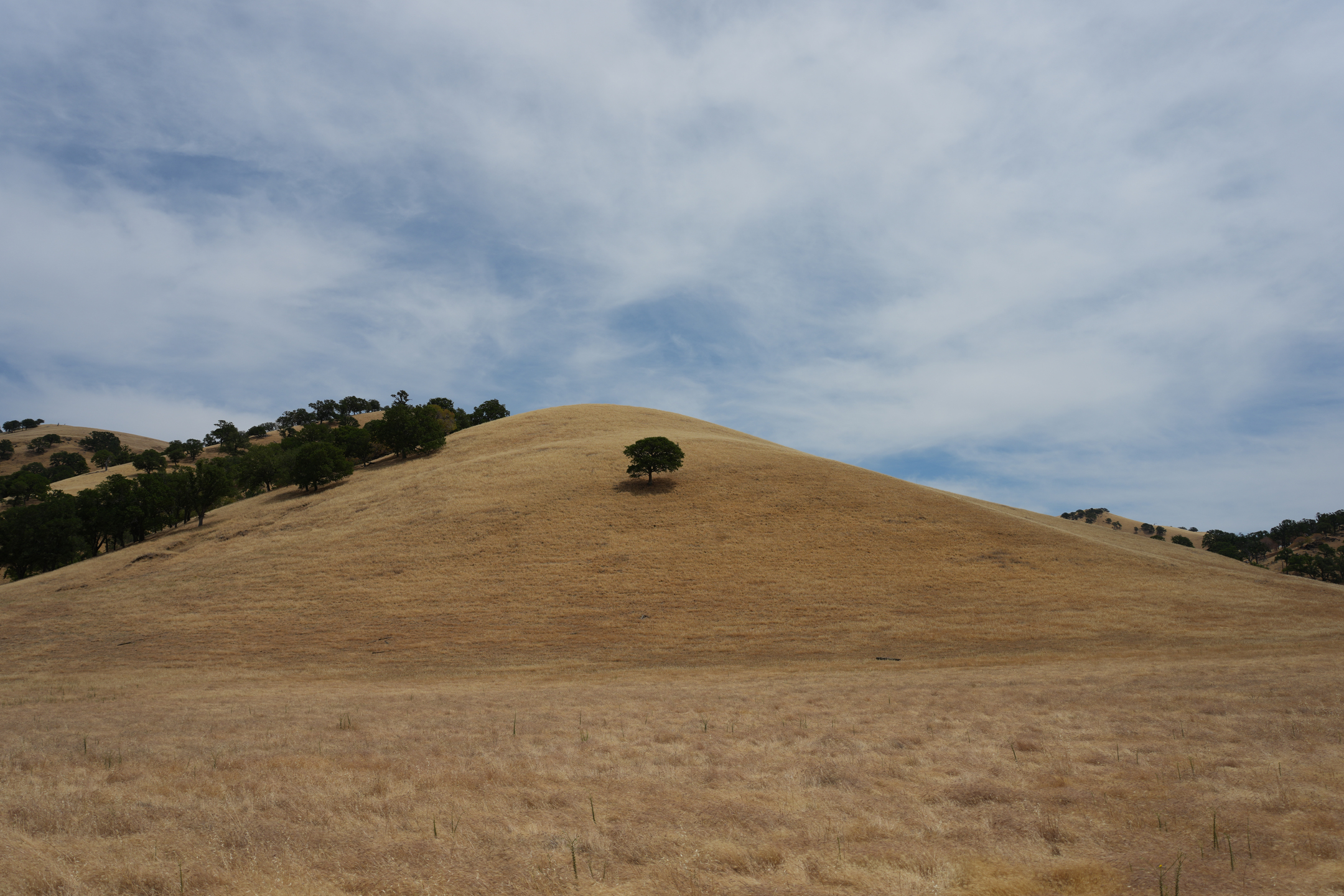 Round Valley Regional Preserve