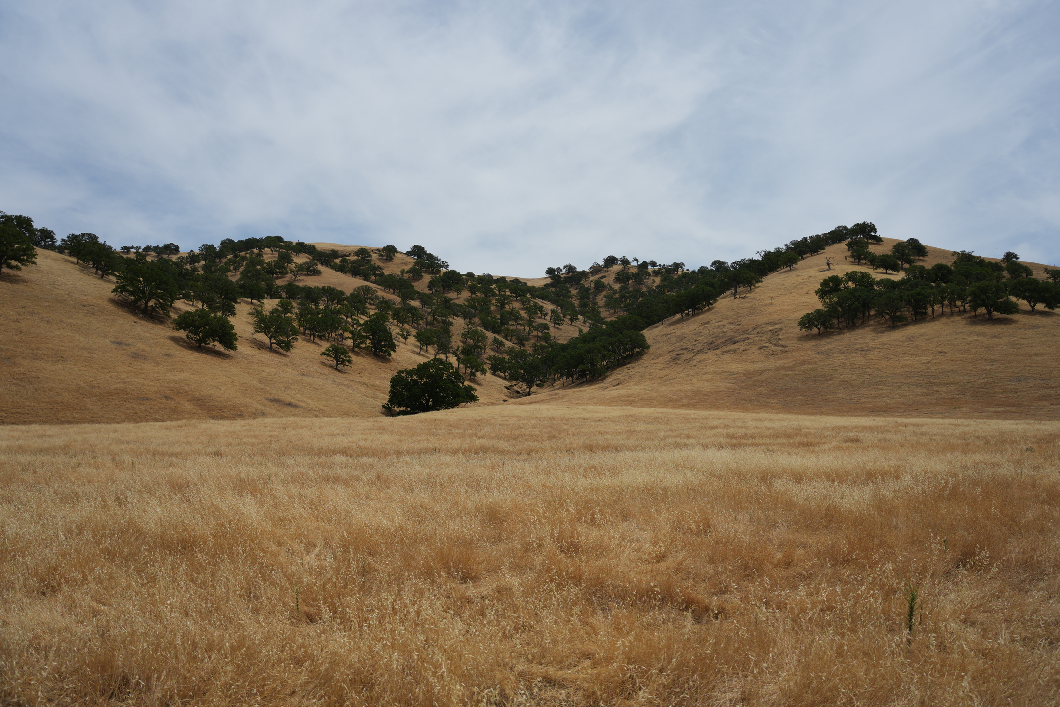 Round Valley Regional Preserve