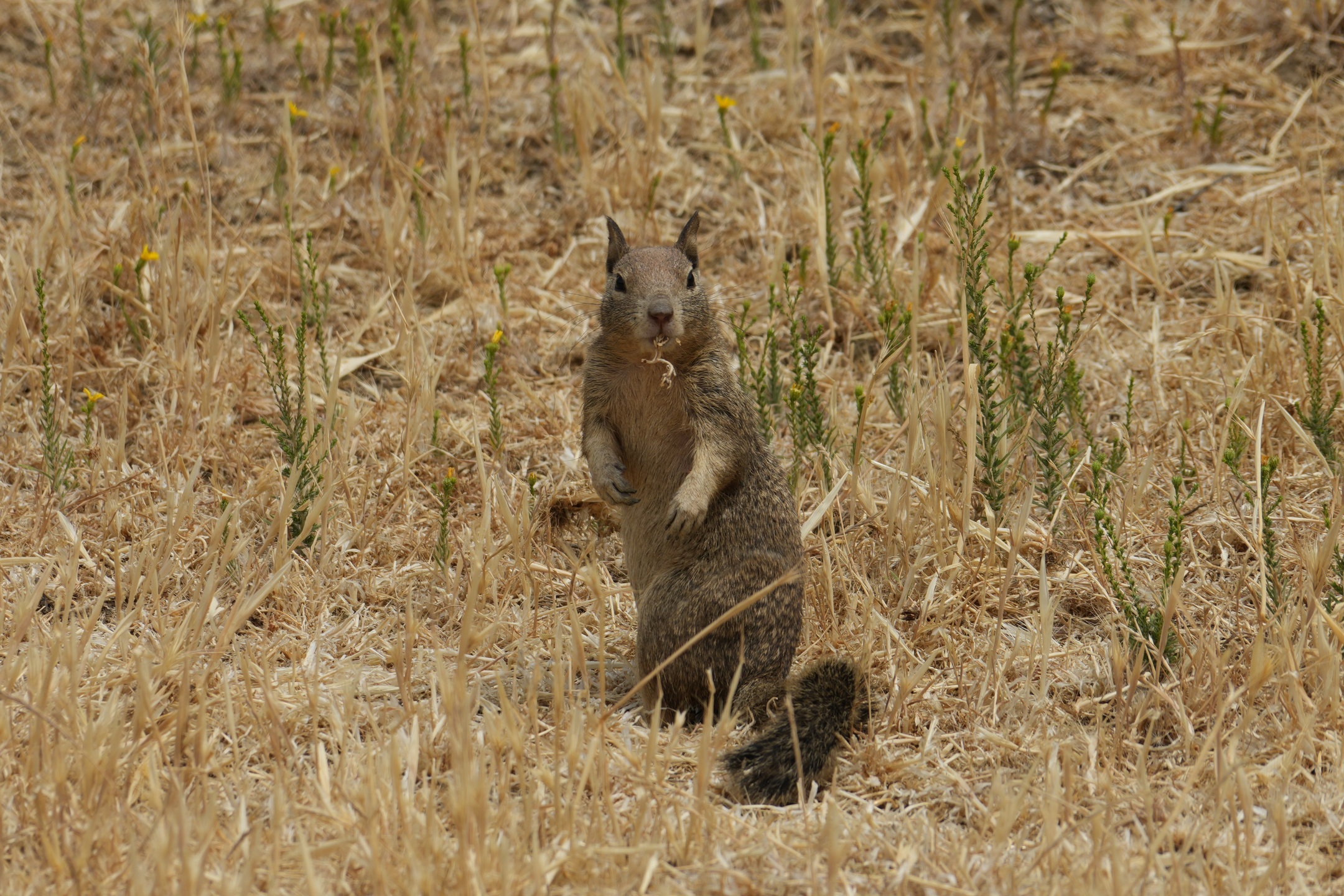 Round Valley Regional Preserve