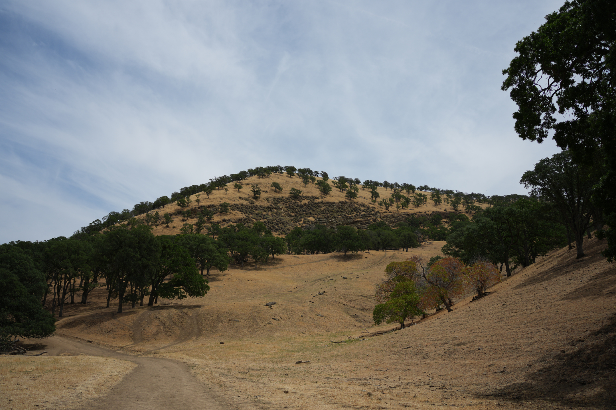 Round Valley Regional Preserve