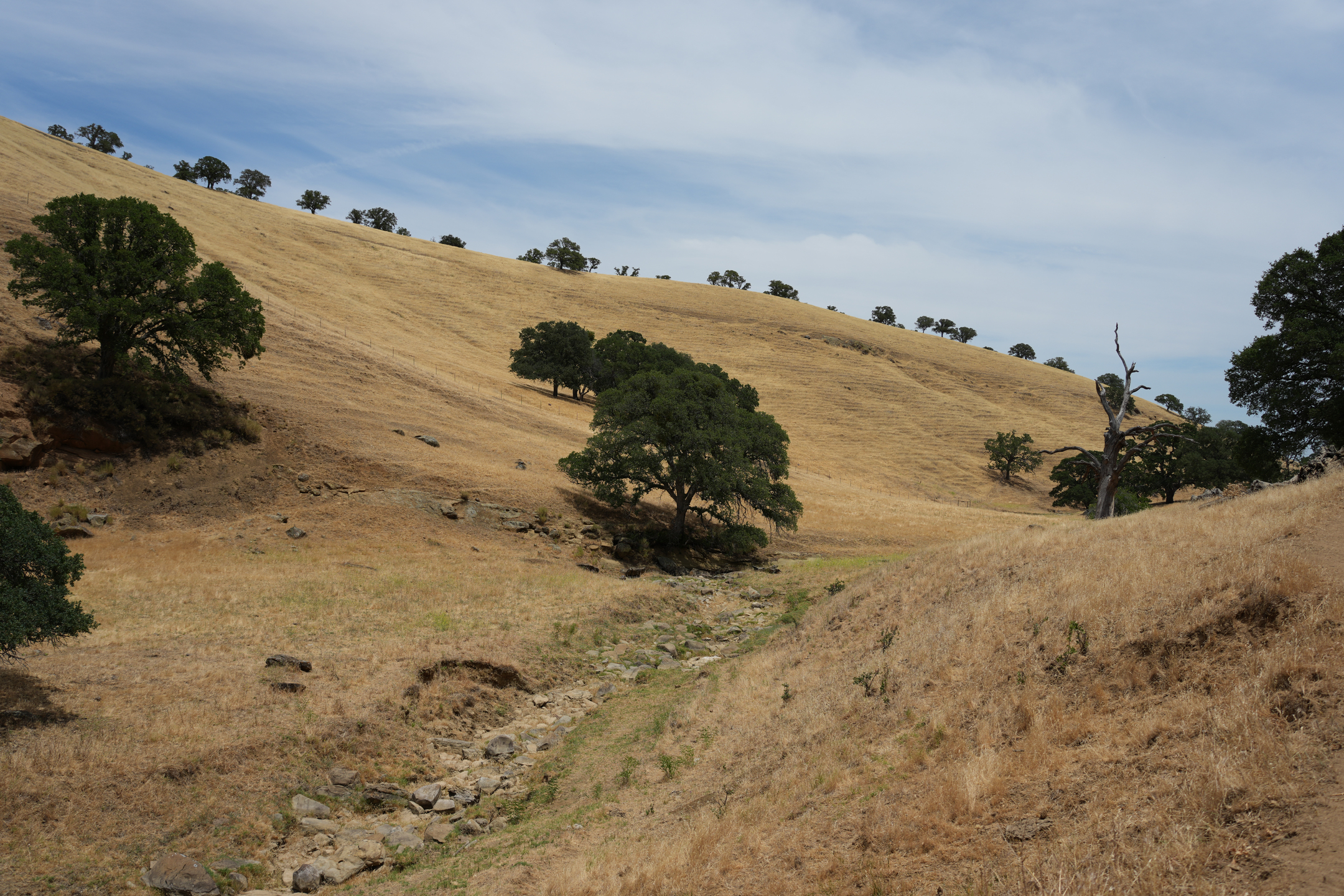 Round Valley Regional Preserve