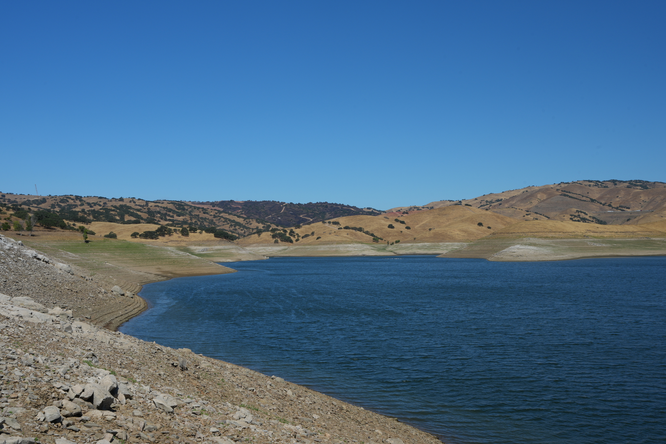 San Luis Reservoir State Recreation Area - Dinosaur Point