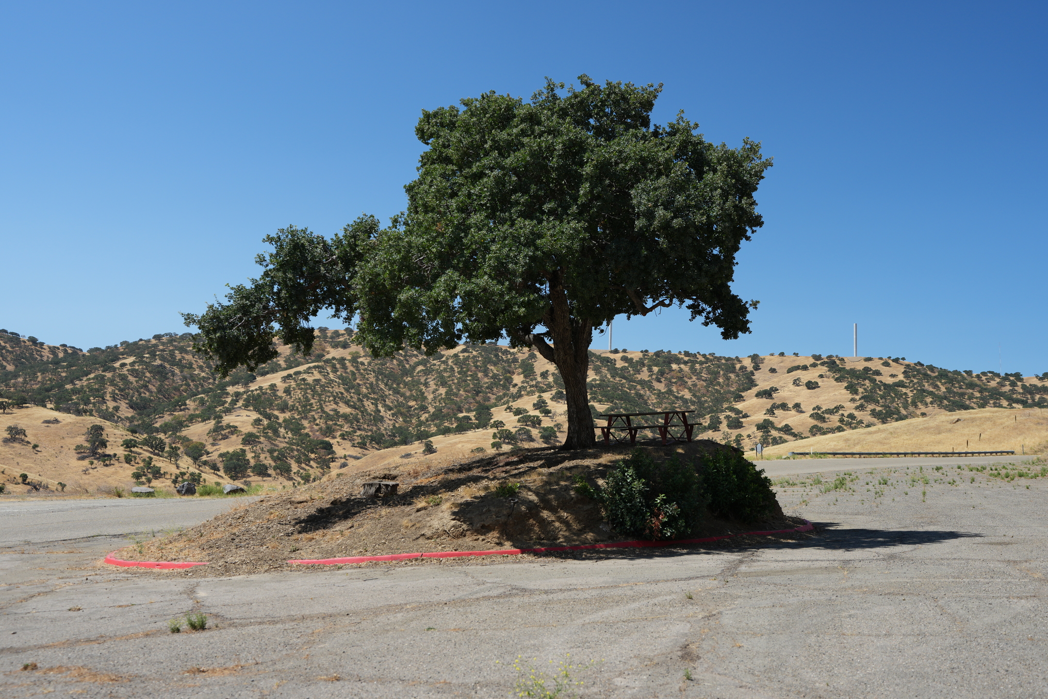 San Luis Reservoir State Recreation Area - Dinosaur Point