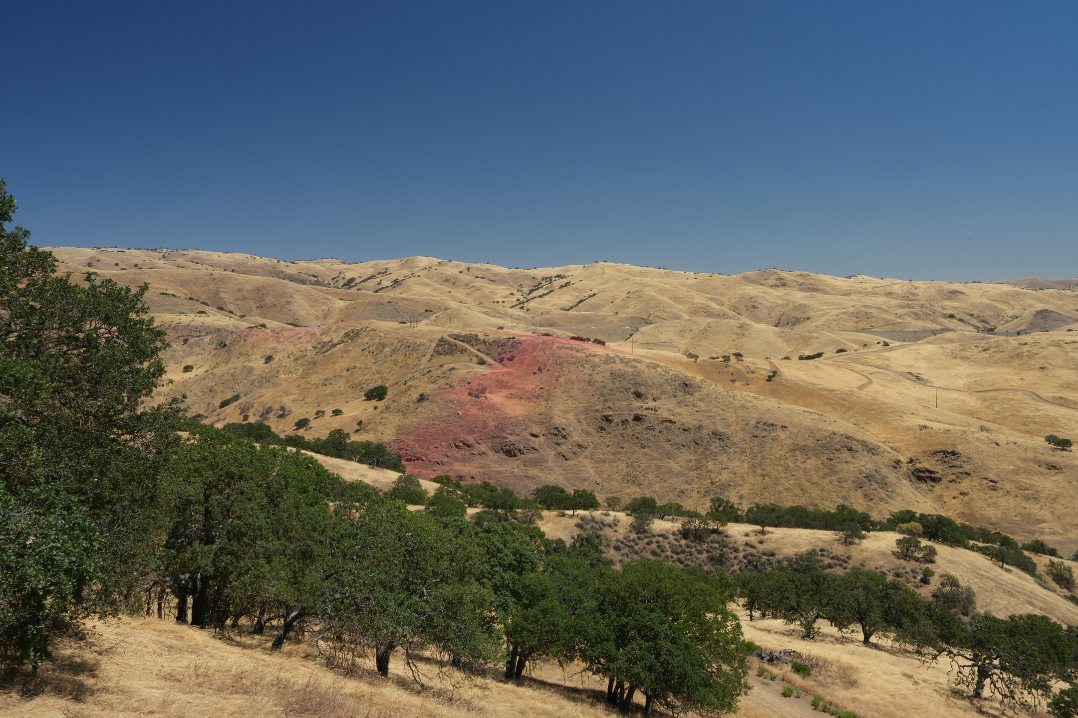 San Luis Reservoir State Recreation Area - Dinosaur Point