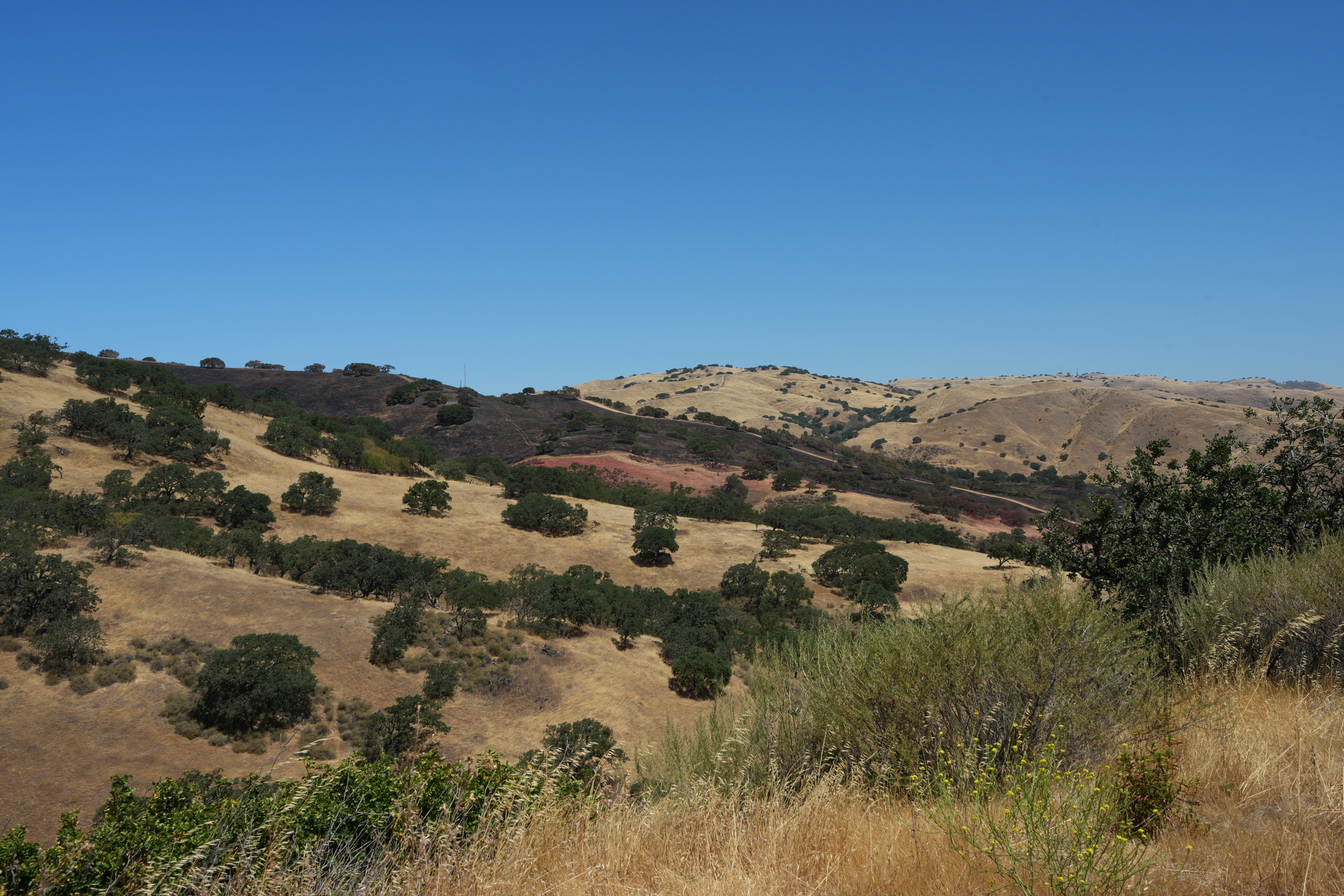 San Luis Reservoir State Recreation Area - Dinosaur Point
