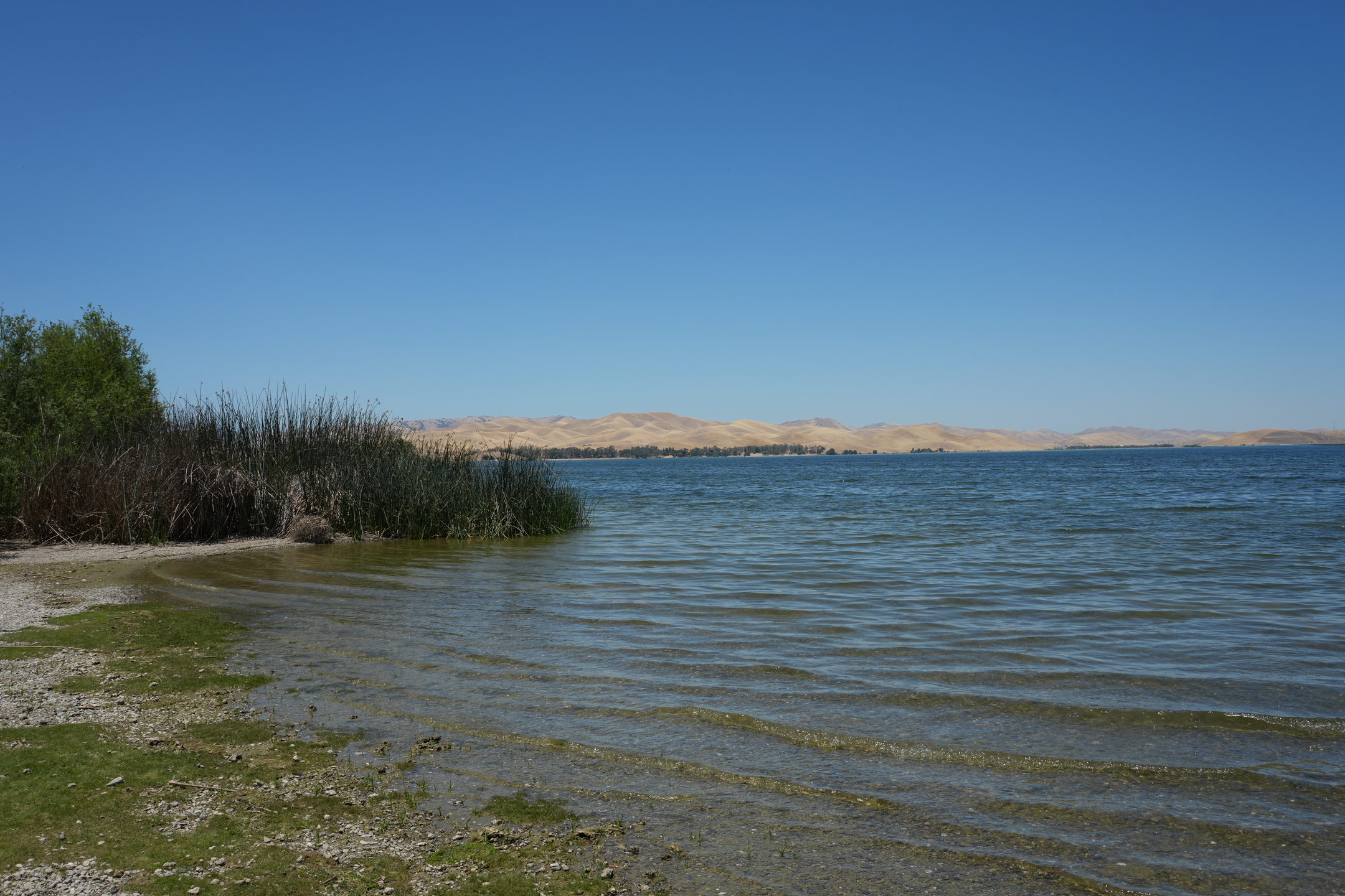 San Luis Reservoir State Recreation Area - Medeiros Campground