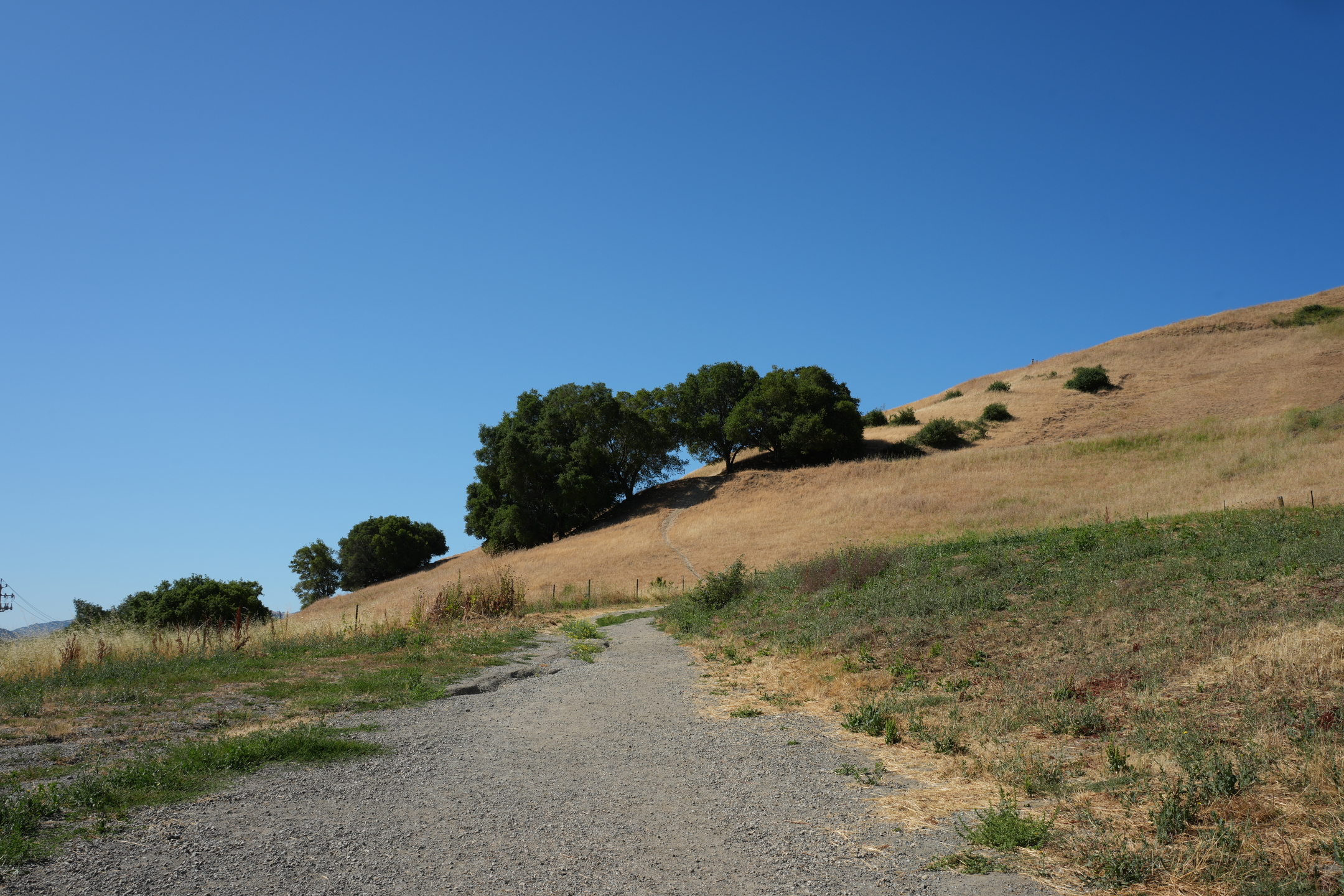 Briones Regional Park - Lafayette Ridge