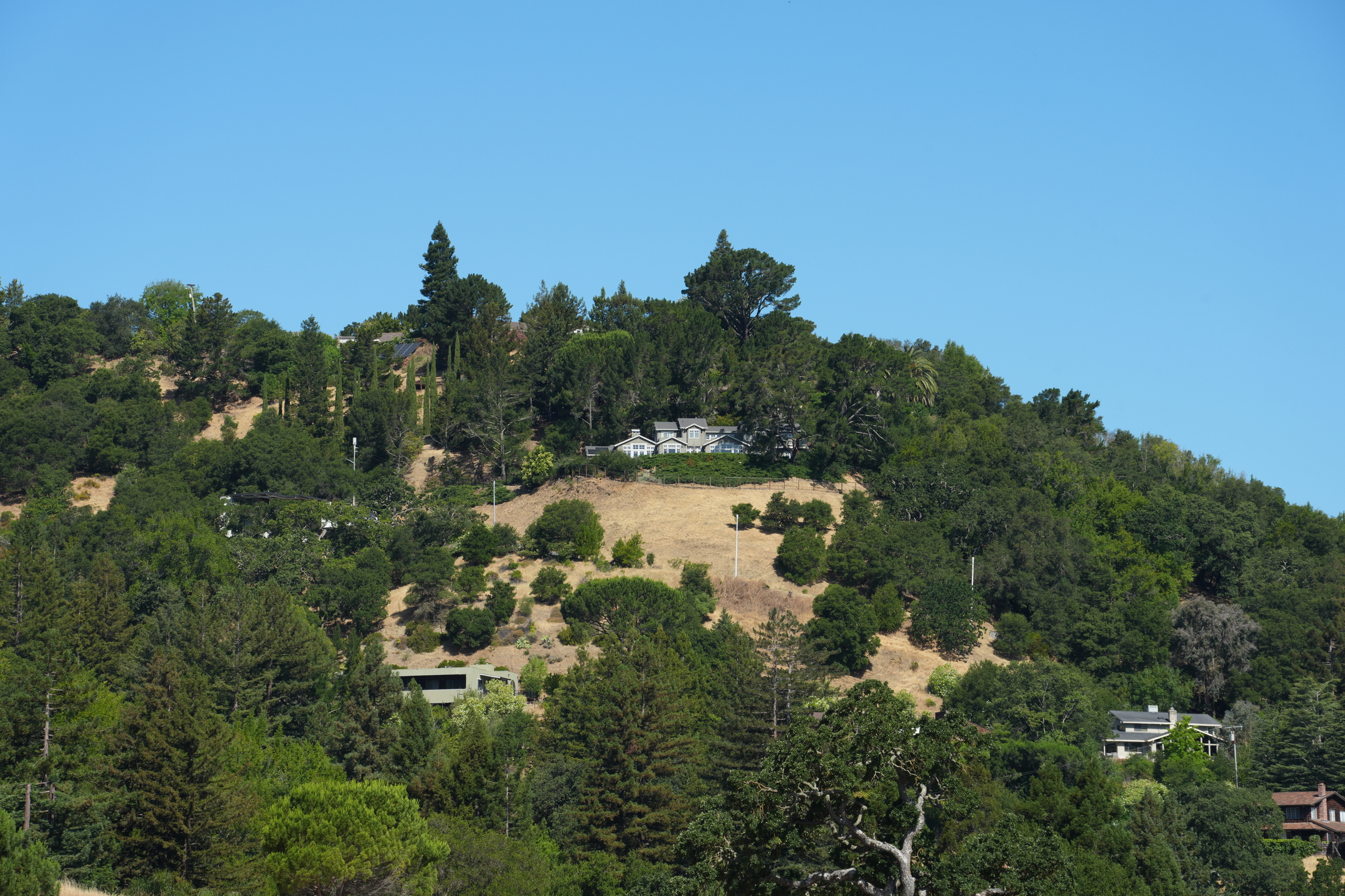 Briones Regional Park - Lafayette Ridge
