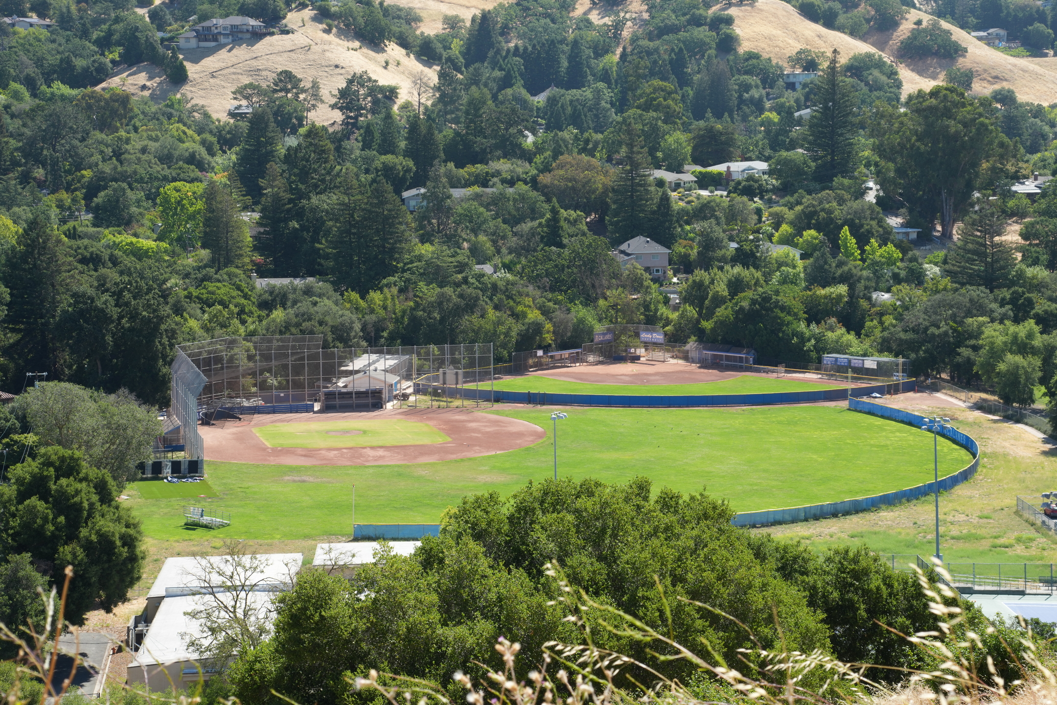 Briones Regional Park - Lafayette Ridge