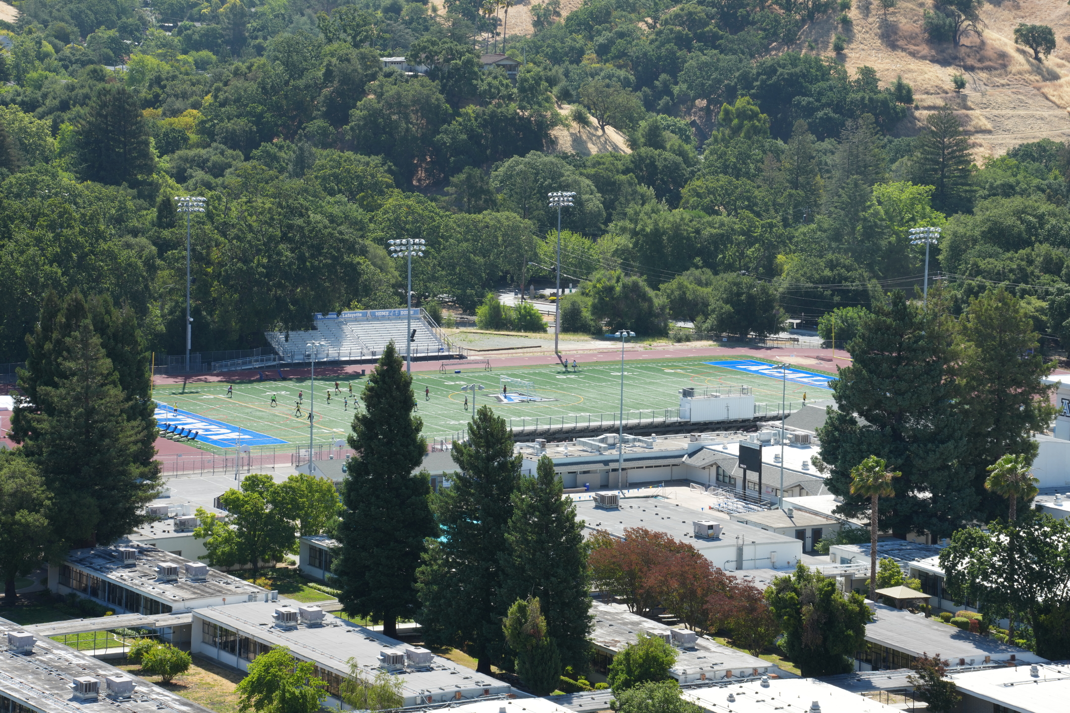 Briones Regional Park - Lafayette Ridge