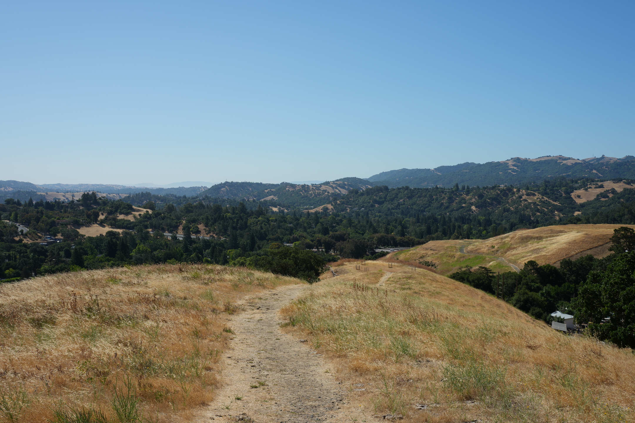 Briones Regional Park - Lafayette Ridge