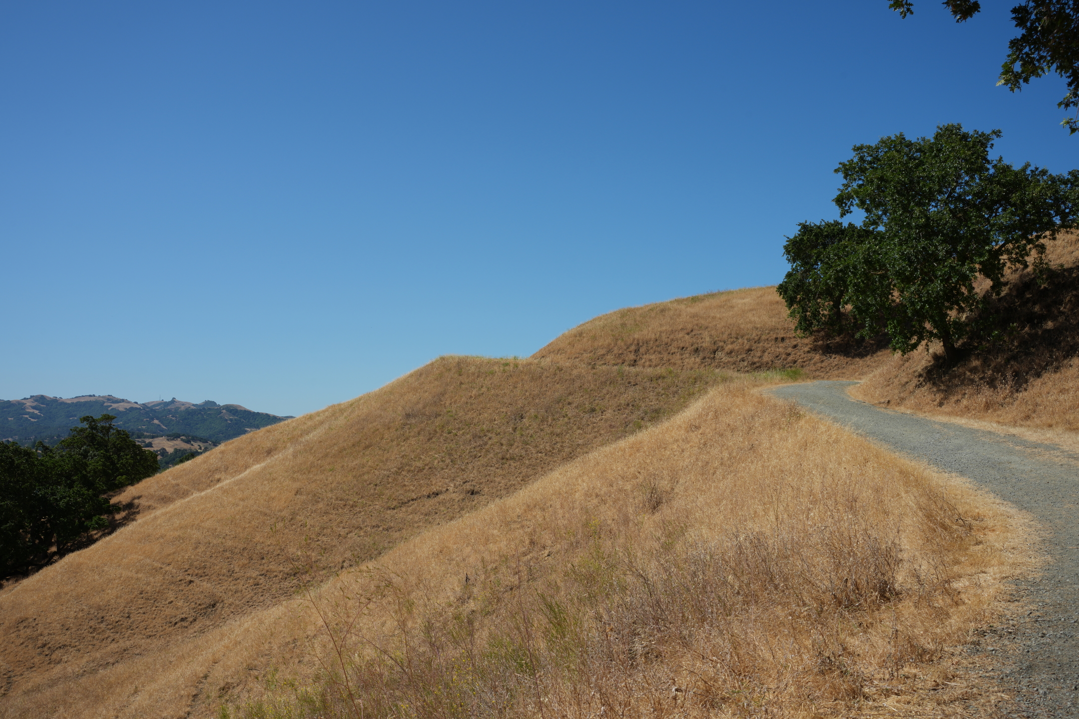Briones Regional Park - Lafayette Ridge