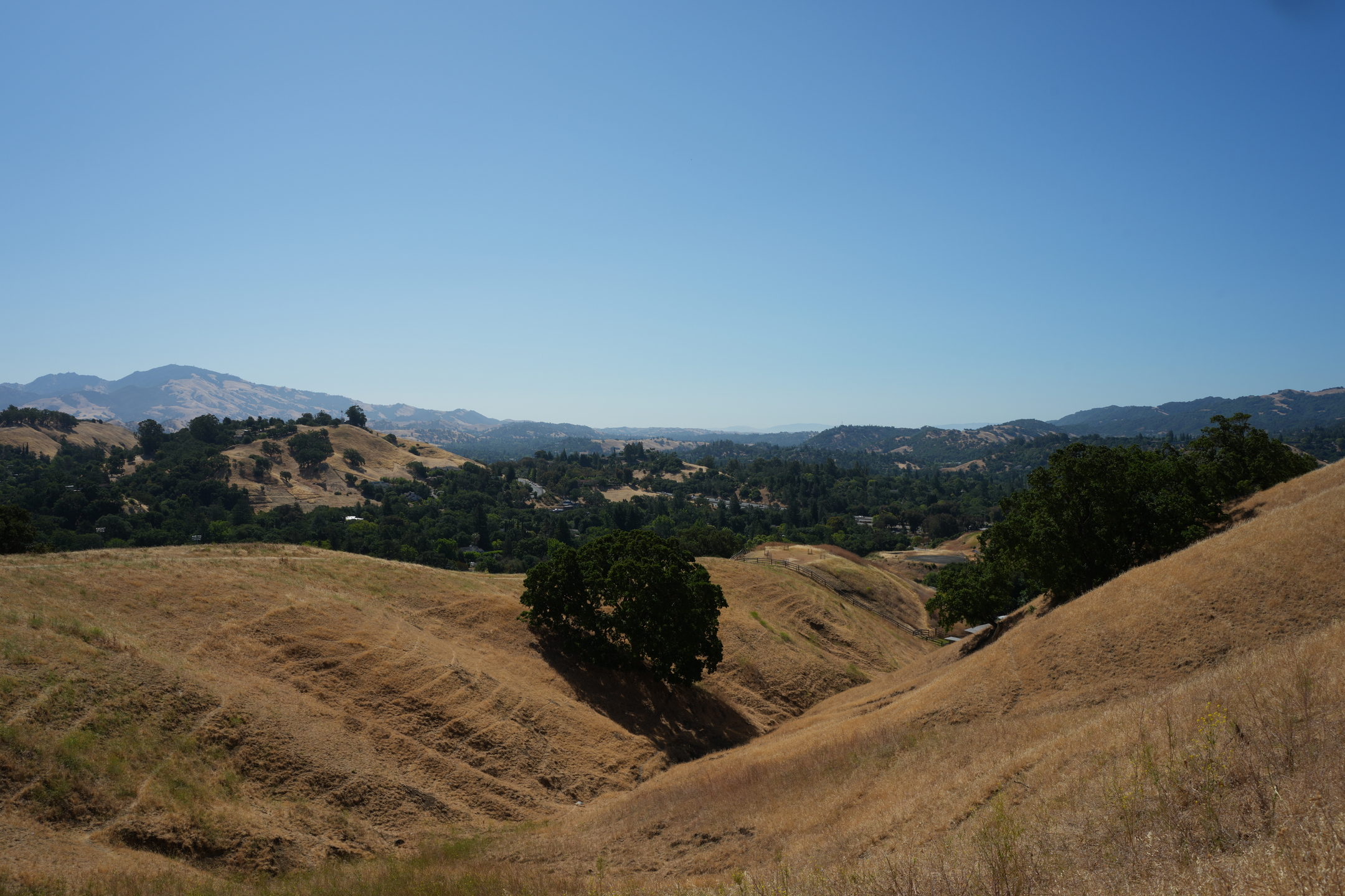 Briones Regional Park - Lafayette Ridge