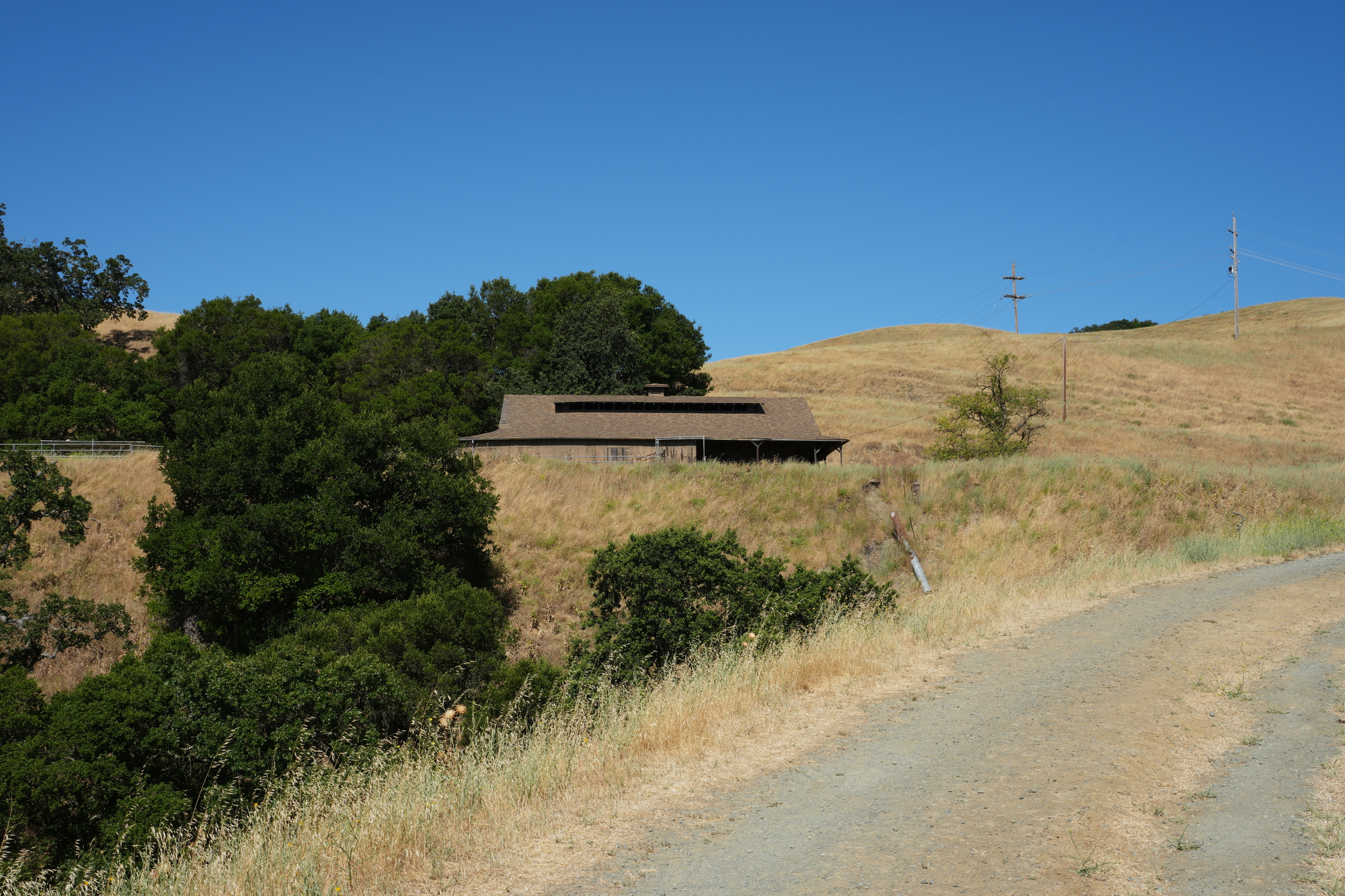 Briones Regional Park - Lafayette Ridge