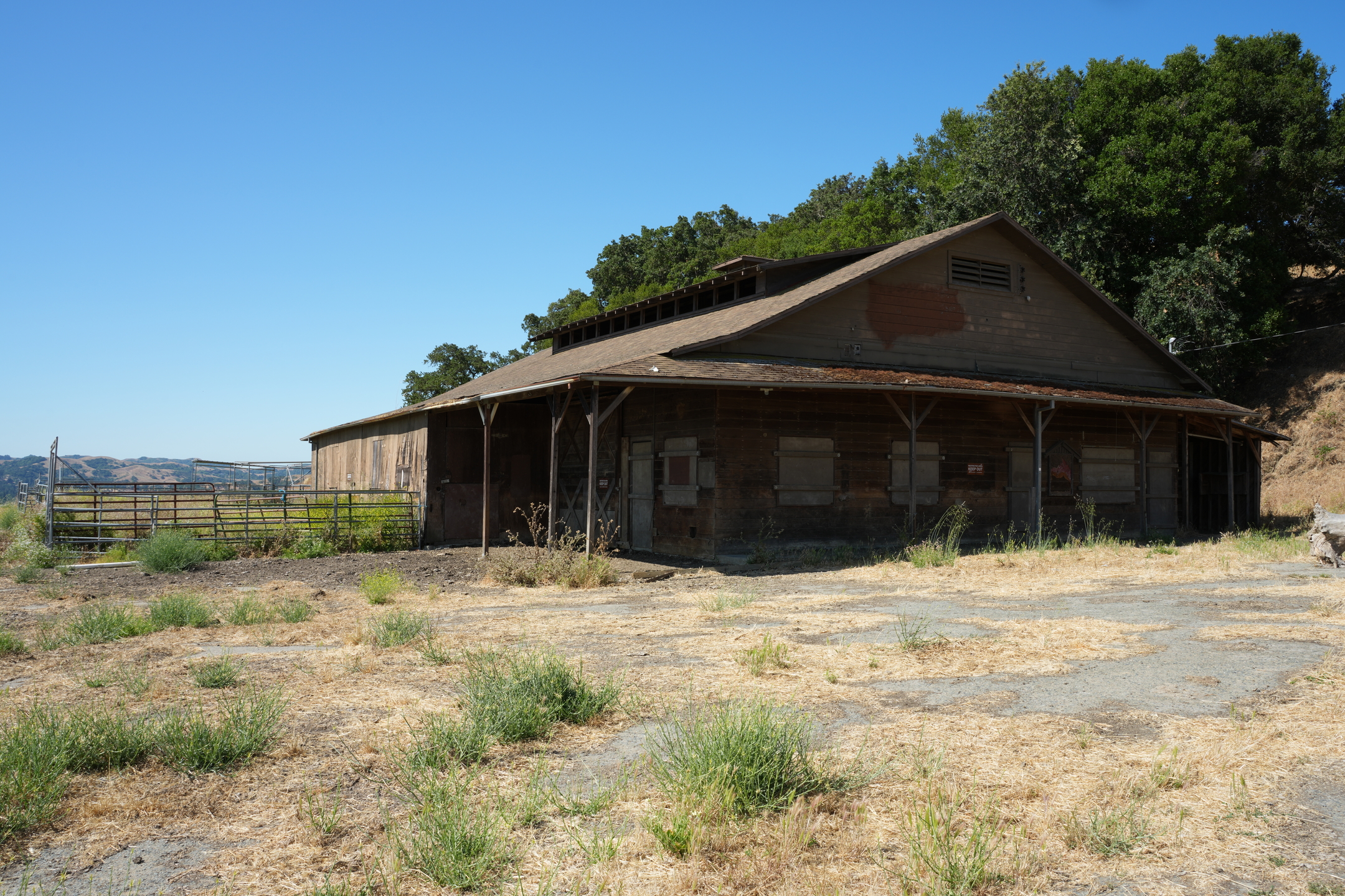 Briones Regional Park - Lafayette Ridge