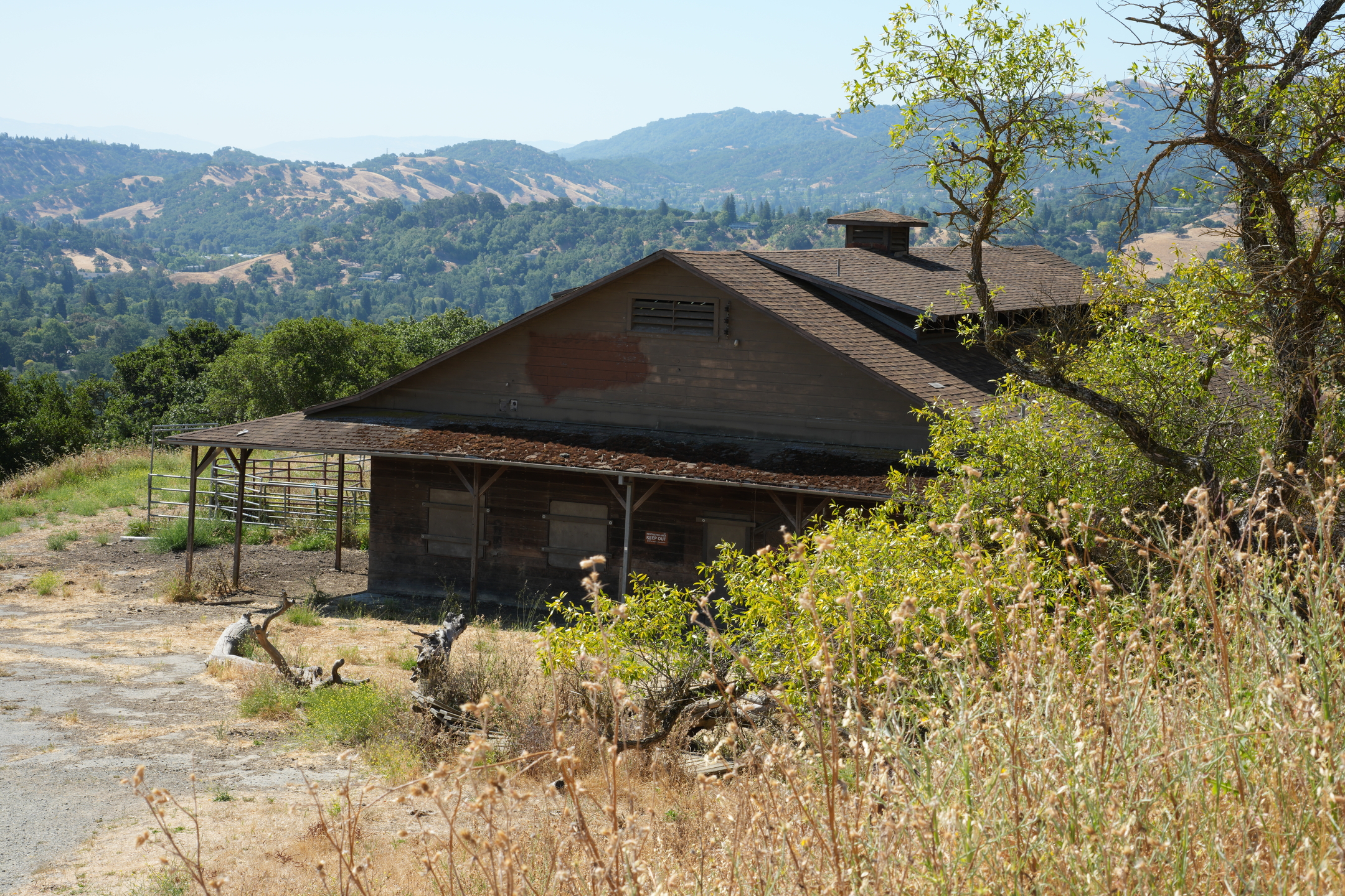 Briones Regional Park - Lafayette Ridge