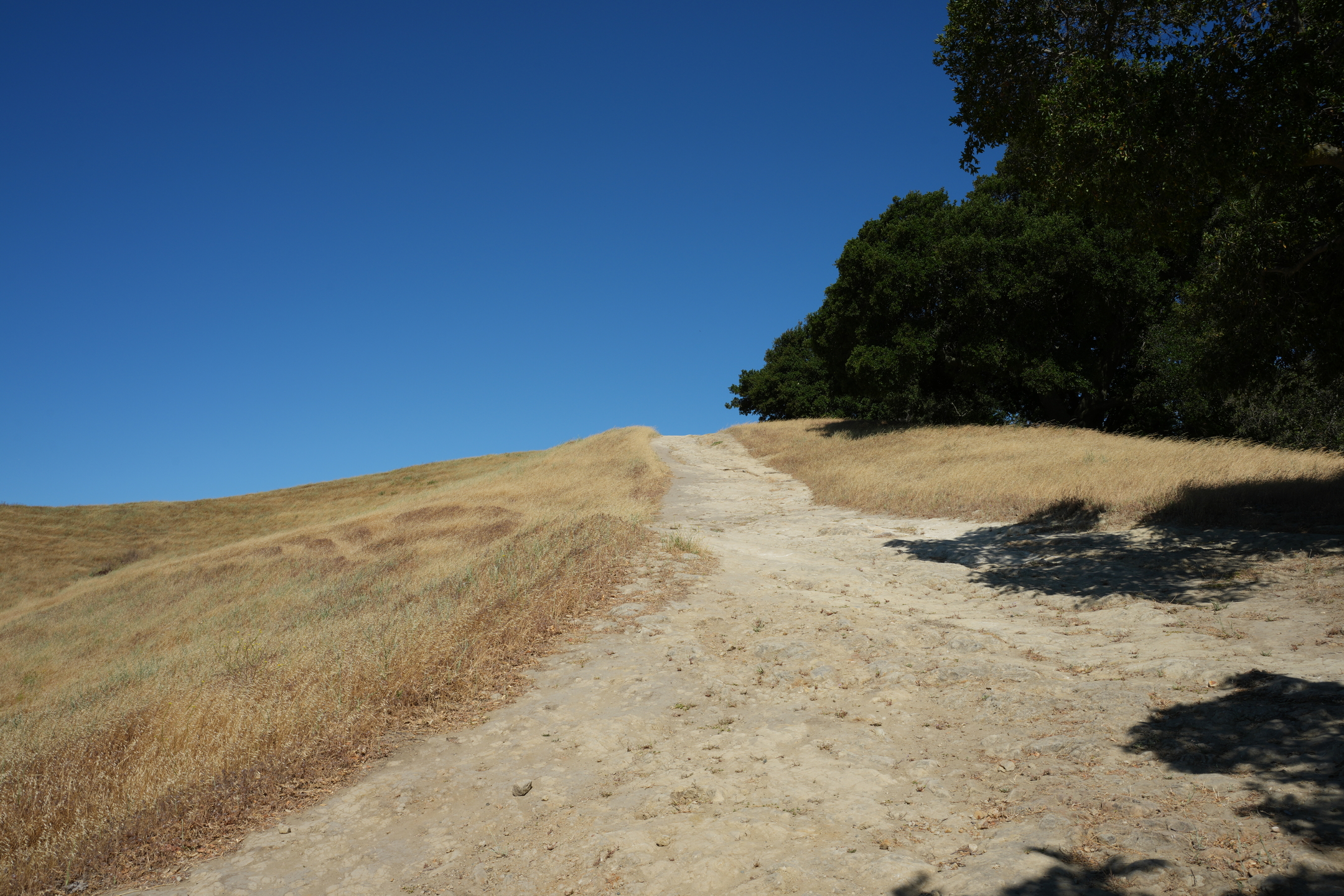 Briones Regional Park - Lafayette Ridge