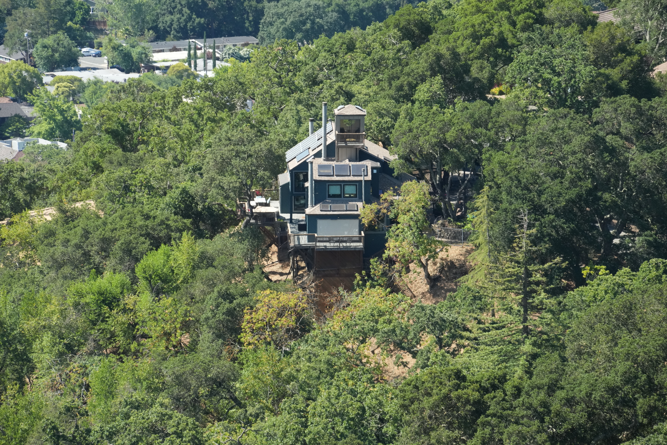 Briones Regional Park - Lafayette Ridge