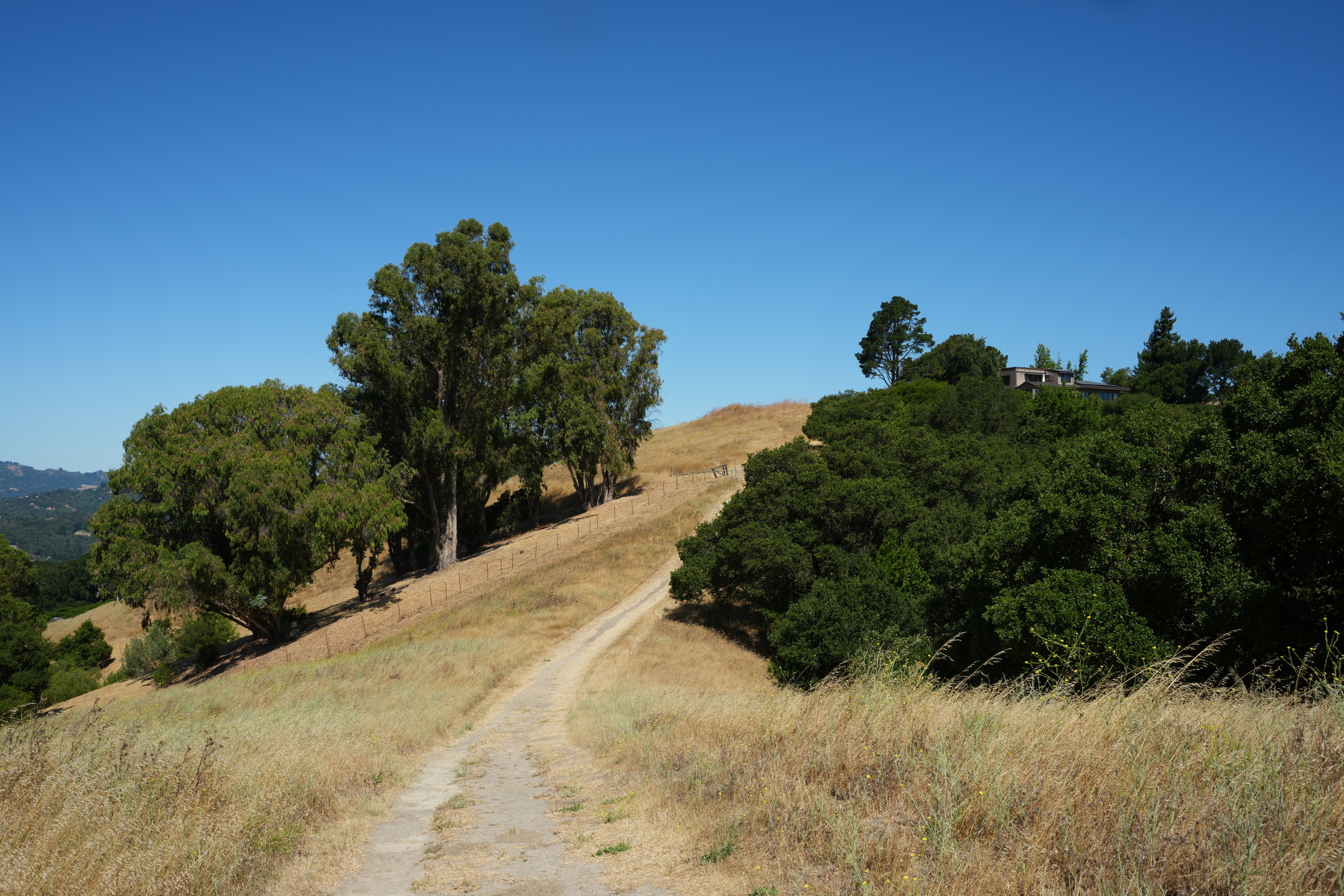 Briones Regional Park - Lafayette Ridge