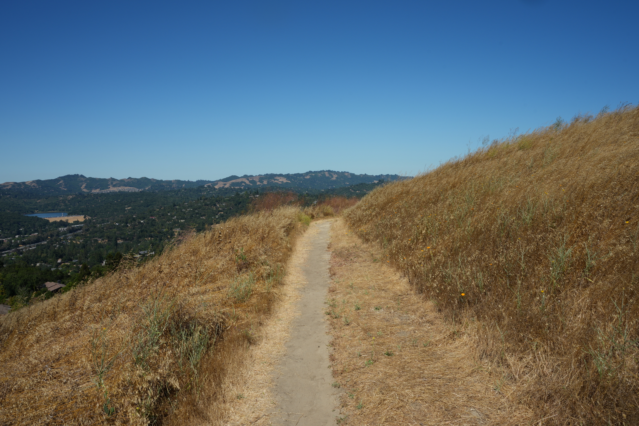 Briones Regional Park - Lafayette Ridge