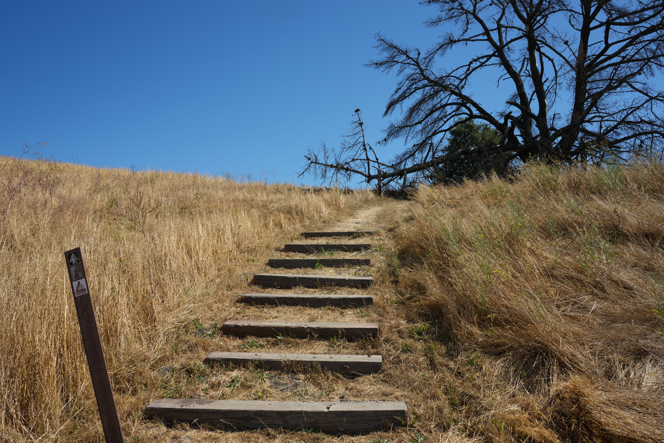 Briones Regional Park - Lafayette Ridge