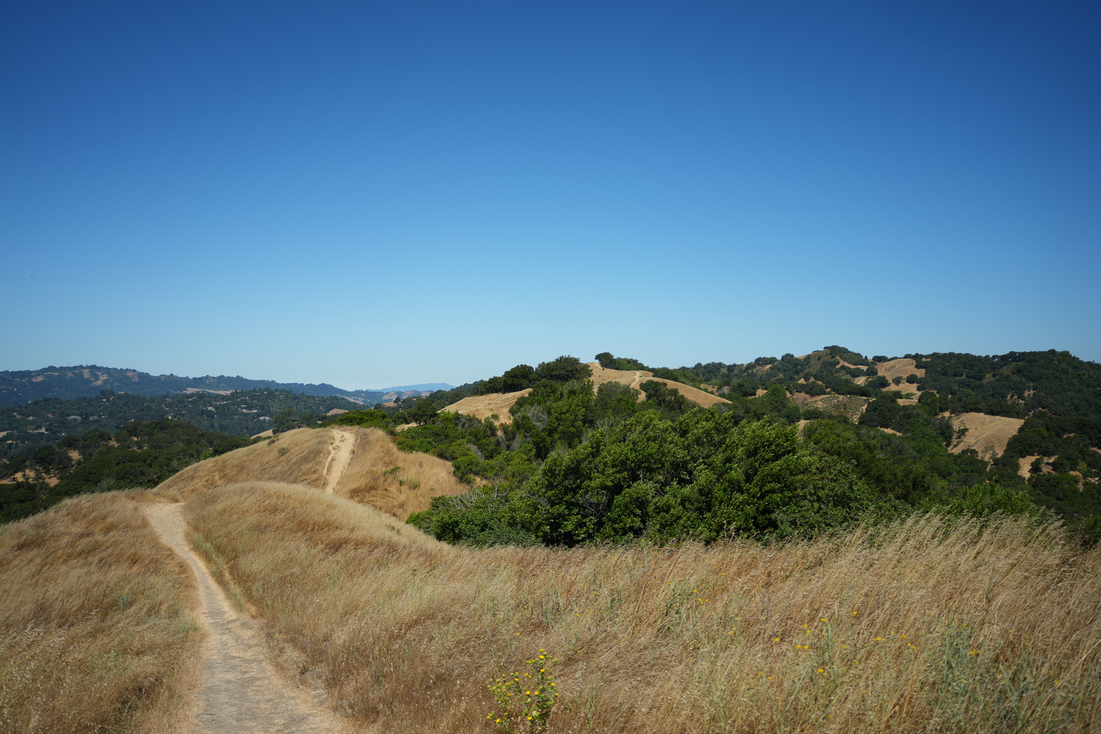Briones Regional Park - Lafayette Ridge