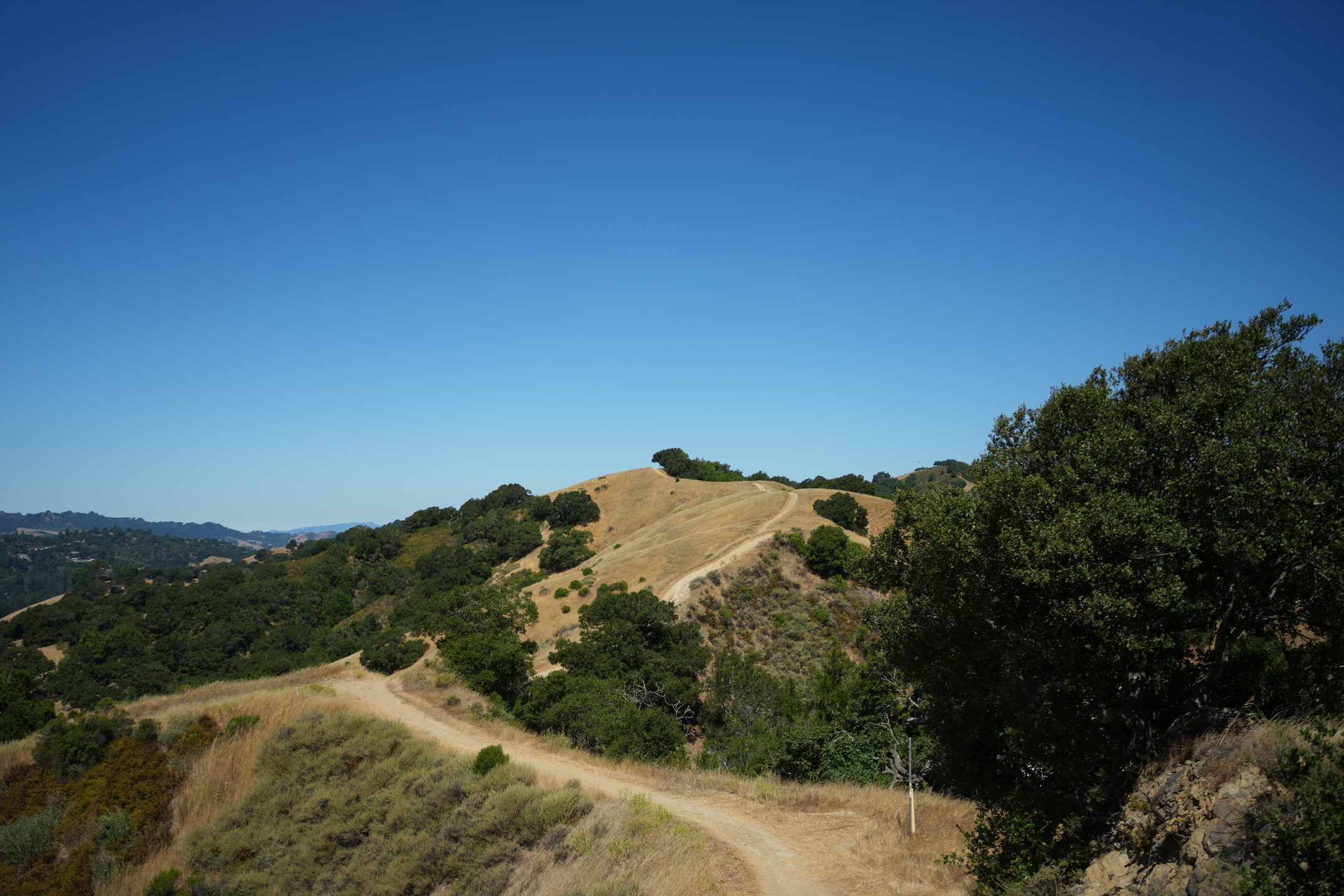 Briones Regional Park - Lafayette Ridge