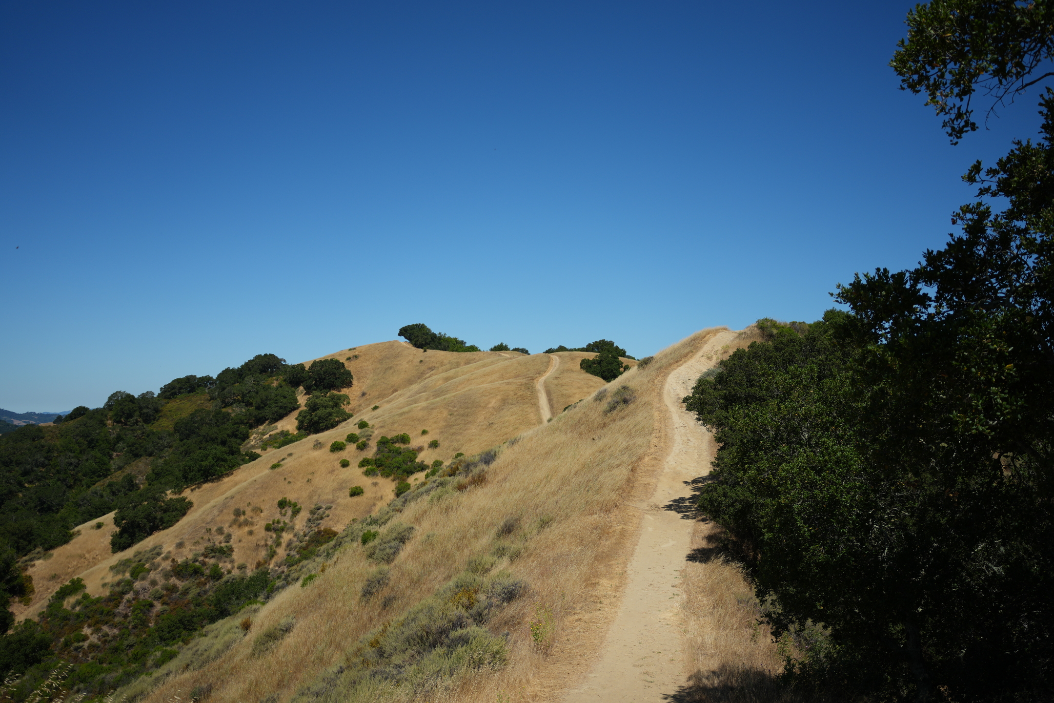 Briones Regional Park - Lafayette Ridge
